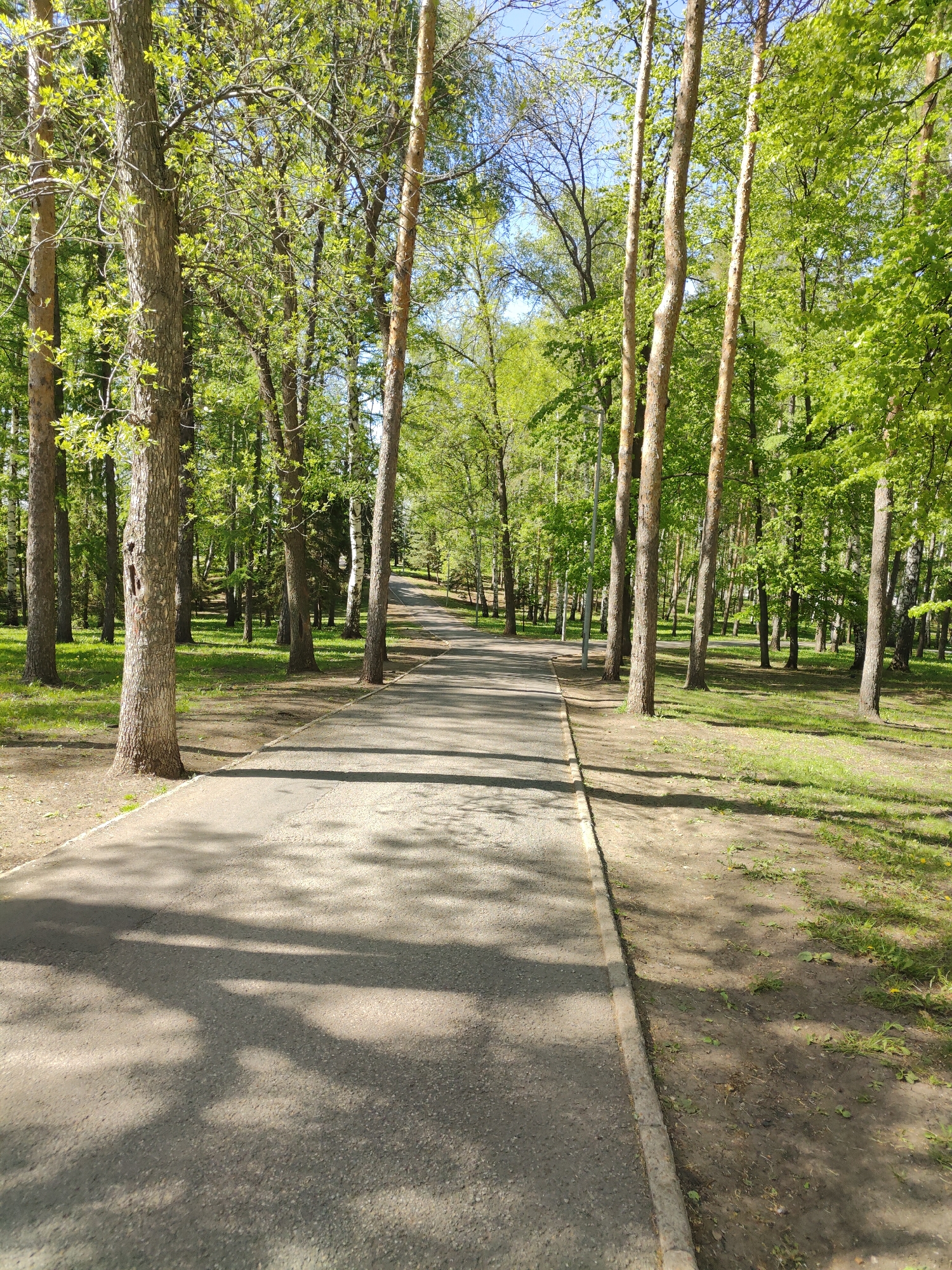 The image depicts a paved path running through a park or wooded area. The path extends into the distance and appears to have a slight incline. Tall trees line both sides of the path, casting shadows across its surface. The trees are mostly green with varying shades, suggesting it is springtime or early summer. The ground alongside the path is covered in grass and dirt. The location appears to be a public park or recreational area. The city is not discernible from the image. No people or specific objects are visible besides the path and trees.