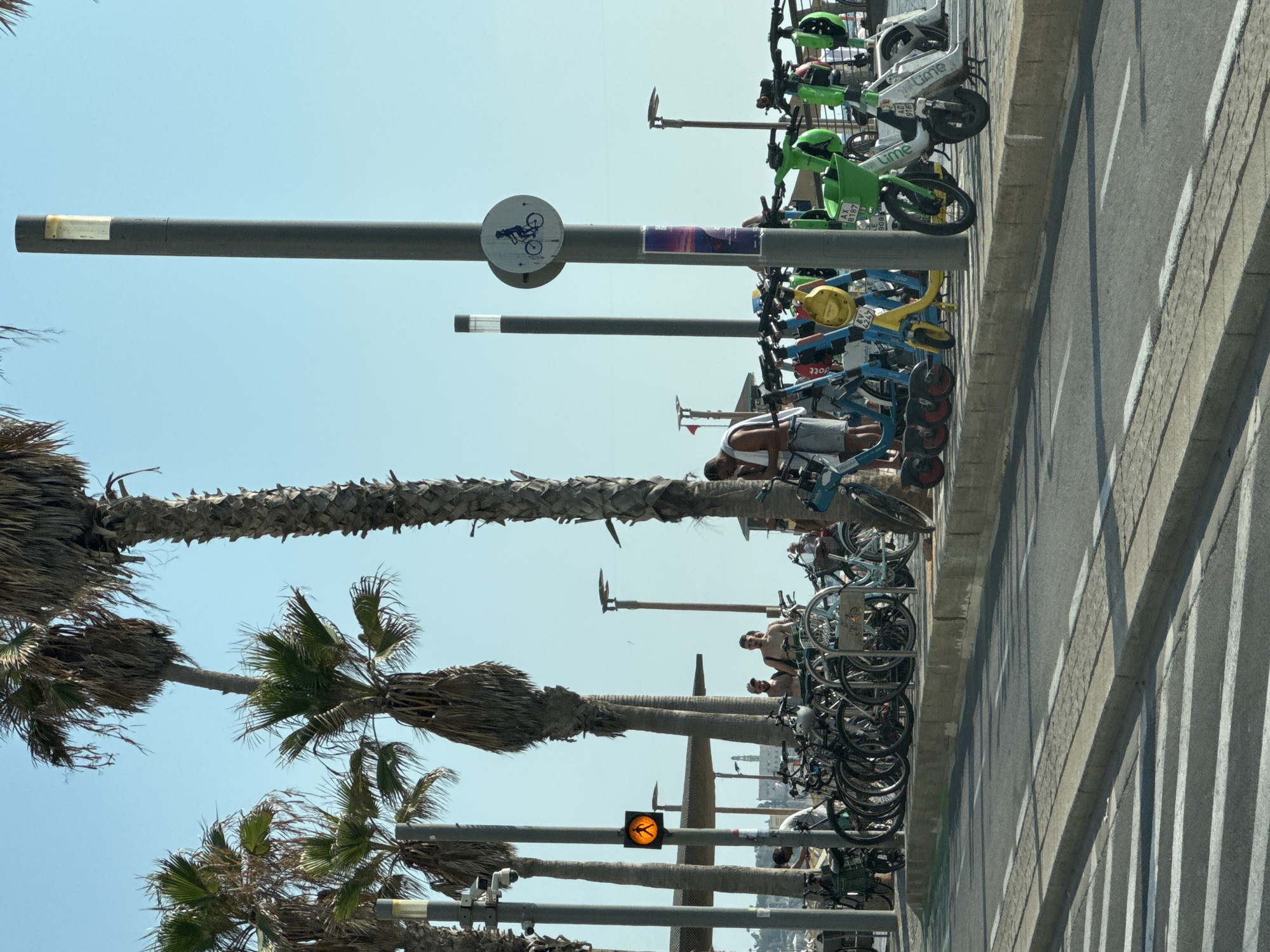 The image captures a sunny scene on a sidewalk in Tel Aviv, Israel, likely along the beachfront promenade. Tall palm trees line the left side of the frame, their fronds casting dappled shadows. In the foreground, a paved road with white markings leads the eye towards the right. A raised concrete curb separates the road from the sidewalk.
The sidewalk is filled with a variety of transportation options. A row of parked bicycles is arranged along a metal rack, some appearing to be part of a rental service. Beyond the bicycles, a line of electric scooters, predominantly green and yellow, are neatly parked. These scooters have baskets and visible branding, suggesting they are also for public use.
Several people are present in the scene. Some individuals are standing near the bicycles, possibly preparing to ride or returning them. Others are visible in the background, milling about. A traffic signal with a walking figure illuminated in orange is mounted on a pole, indicating a pedestrian crossing. A sign depicting a person on a bicycle is also attached to a pole. The overall atmosphere is casual and suggests an active urban environment, typical of Tel Aviv's popular public spaces. The sky is a clear, bright blue.