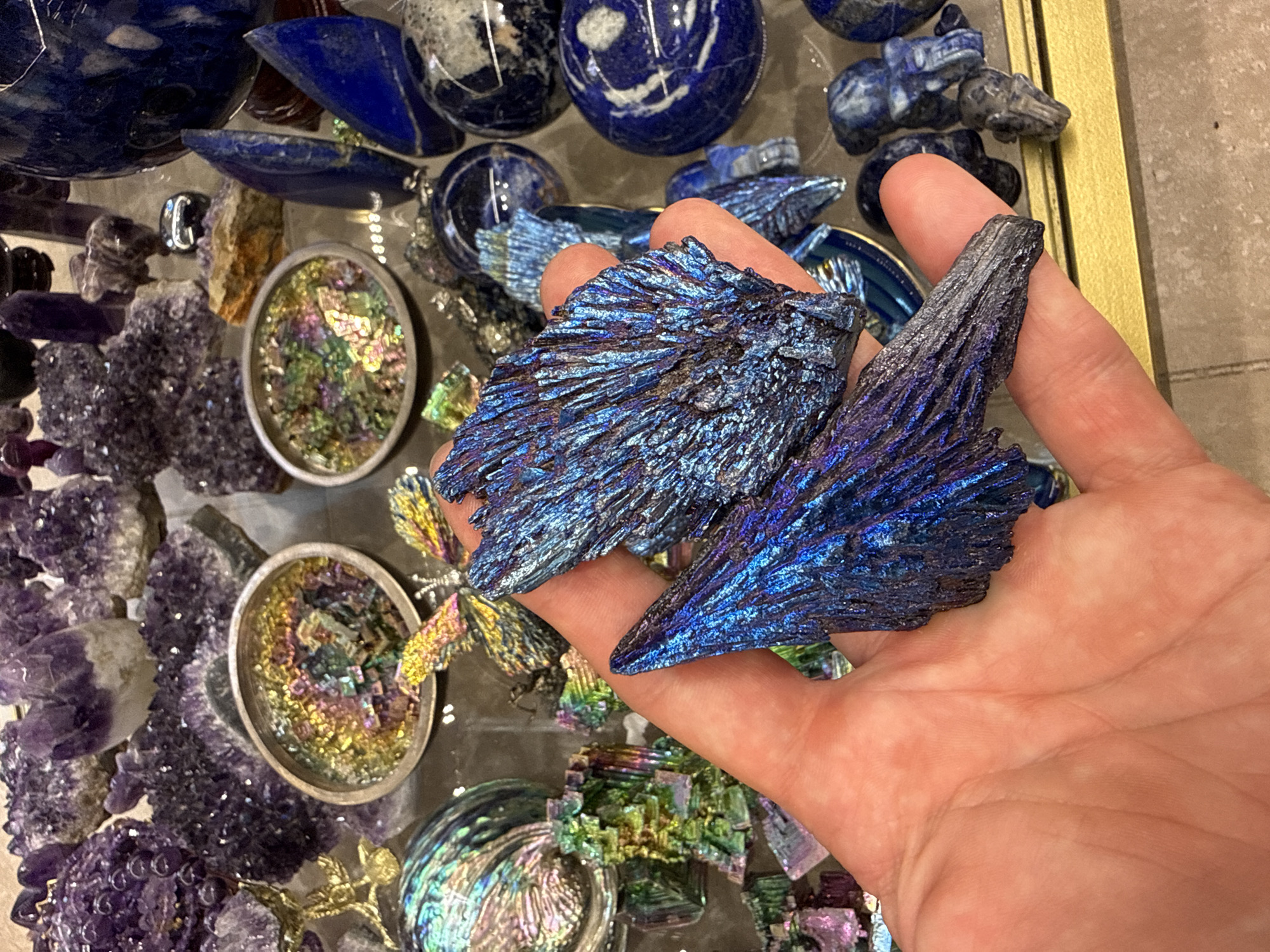 A hand holds two iridescent, crystalline mineral specimens, possibly bismuth, with vibrant blue and purple hues. The minerals have a sharp, layered texture, resembling feathers or fans. In the background, a display of various minerals is visible, including purple amethyst clusters, round, deep blue stones that may be lapis lazuli, and shallow, circular dishes filled with colorful, sparkling crystals. The setting appears to be a mineral shop or exhibition, likely indoors given the artificial lighting that highlights the shimmering surfaces of the specimens. The overall scene conveys an appreciation for geological beauty and the intricate patterns found in natural materials. The image lacks any visible text, and there are no clear indicators of time of day or weather. The focus is entirely on the visual appeal of the minerals.