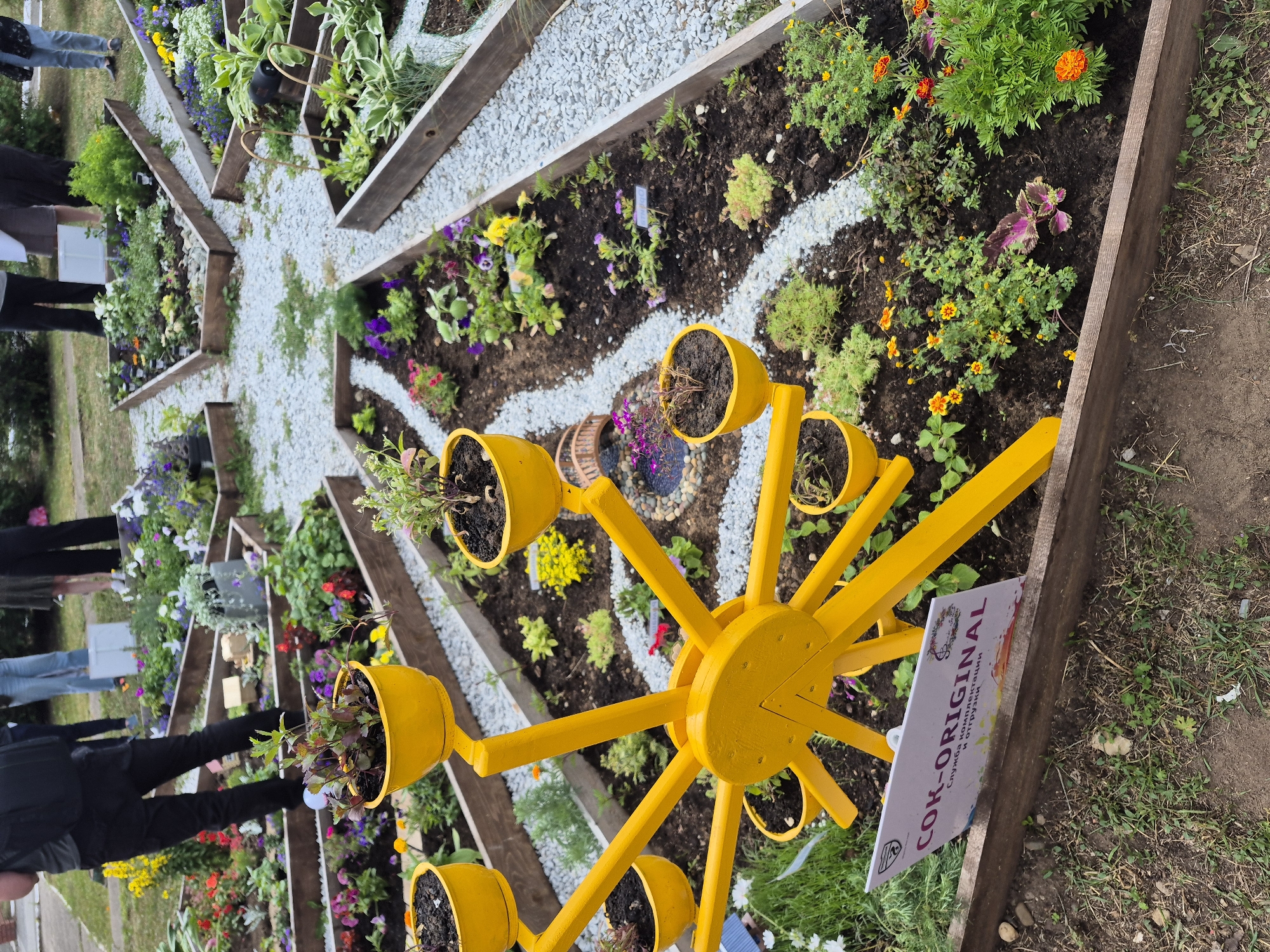 This image shows a garden with a star-shaped raised bed design. The raised beds are filled with soil and various plants, including flowers of different colors and sizes, as well as green foliage. Small white pebbles are arranged in winding paths between the garden beds.
A prominent yellow, Ferris wheel-like structure with multiple yellow cups holding plants is positioned in the foreground, extending into the garden. People are visible in the background, with legs and lower bodies in view, suggesting they are walking around or tending to the garden. They appear to be dressed casually.
A sign with text is attached to the wooden edge of the garden bed, near the yellow Ferris wheel structure. The visible text reads "COK-ORIGINAL" in large letters, followed by smaller text in Russian, which appears to be related to services. The overall scene suggests a community garden or a garden exhibition. The lighting indicates it is daytime, possibly overcast or late afternoon, as there are no strong shadows. The setting appears to be outdoors, in a natural environment with grass and soil. The mood seems to be peaceful and focused on the beauty of the garden.