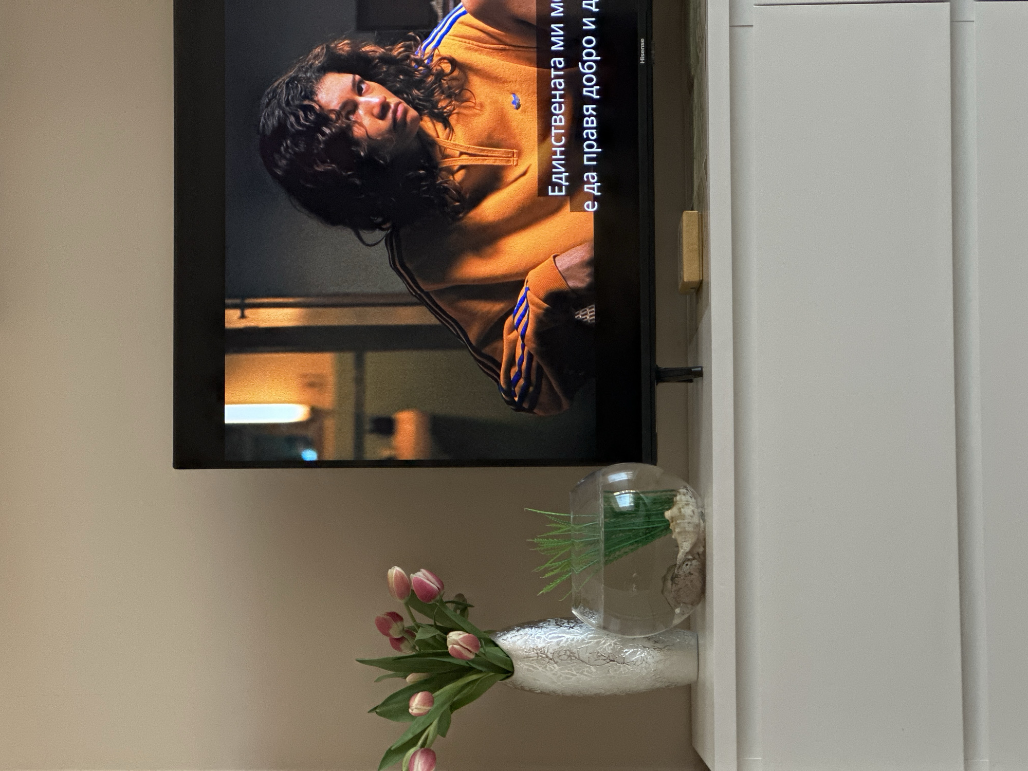 A television is mounted on a wall next to a white cabinet. On the screen, a person with curly hair is visible, wearing an Adidas sweatshirt. Text in Bulgarian is displayed on the right side of the screen. Below the television, a vase with pink tulips and a decorative glass ornament are placed on the cabinet shelf. The photo was likely taken indoors. The location of the scene is not directly apparent from the image.