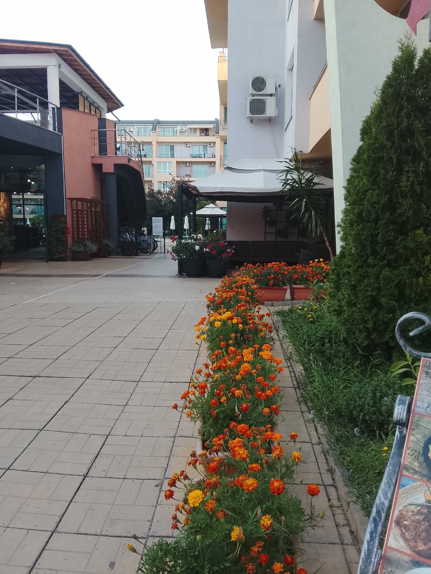 The image depicts an outdoor scene in Nesebar, Bulgaria, likely a pedestrian walkway or courtyard area. In the foreground, a tiled pathway runs diagonally across the frame, bordered by a vibrant row of marigold flowers in shades of orange and yellow. To the right of the pathway, a dense green evergreen tree stands tall, partially obscuring a building. Behind the flowers, a low concrete border separates the flowerbed from a grassy area.
Further back, a multi-story building with a pale yellow facade is visible, featuring multiple windows and balconies. To its left, another building with a reddish-orange exterior is present, featuring architectural elements like a balcony with railings and a sloped roof. A white awning shelters an outdoor seating area. In the background, more buildings, likely apartment complexes, rise in the distance, some with visible air conditioning units. Bicycles are parked near the reddish-orange building. The overall atmosphere suggests a pleasant, well-maintained urban environment.