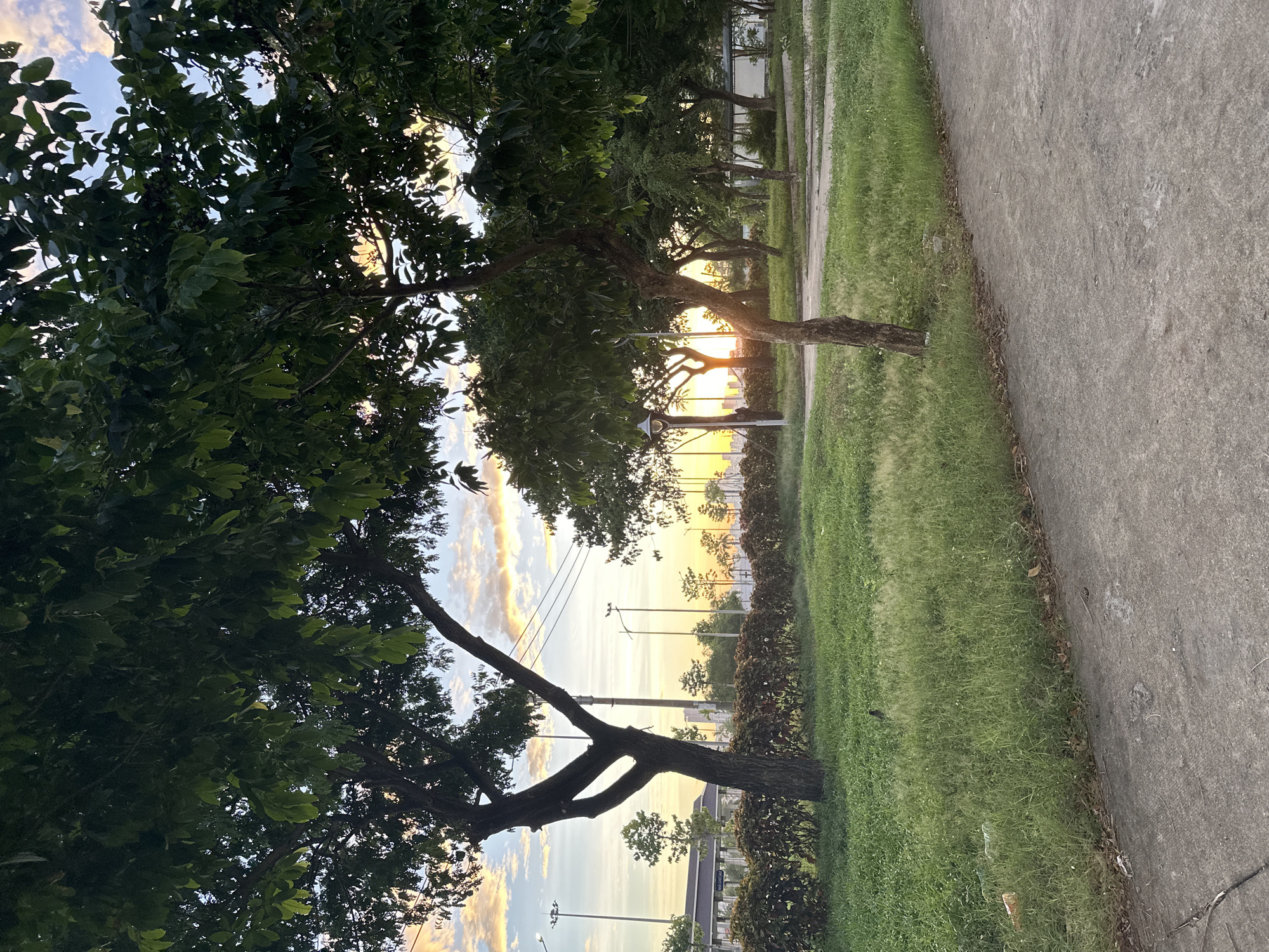 The image depicts a park area in Đà Nẵng, Vietnam, likely during sunrise or sunset. The foreground features a concrete pathway bordering a grassy area with scattered debris, including a plastic bottle and a piece of paper. Several trees with dense green foliage are visible throughout the scene. In the midground, a line of low, manicured bushes separates the grass from a row of streetlights and utility poles. Beyond this, the sky displays a gradient of colors, with soft oranges, yellows, and blues, suggesting either dawn or dusk. Distant buildings are faintly visible on the horizon, indicating an urban setting. The overall atmosphere is serene, with the natural elements of trees and sky contrasting with the man-made structures.