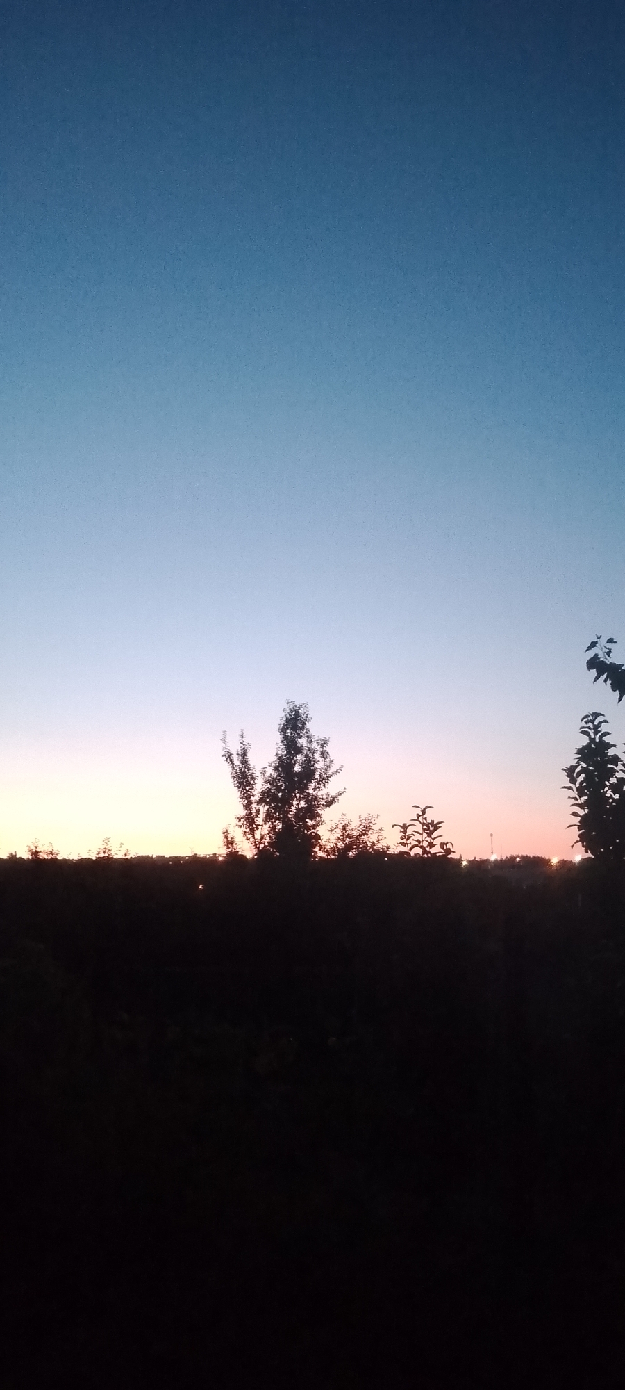 An outdoor, vertical, medium-shot photograph shows a sunset over a dark, silhouetted landscape. The sky transitions from a deep blue at the top to a pale, peachy-pink near the horizon. The horizon is obscured by a dense, dark band of vegetation, likely trees and bushes. A few trees are silhouetted against the lighter part of the sky, with one larger tree centrally located. In the distance, there appear to be faint lights or structures on the horizon. The overall mood is serene and quiet. The scene is not identifiable as being in a specific city, as no distinguishing landmarks or features are visible.