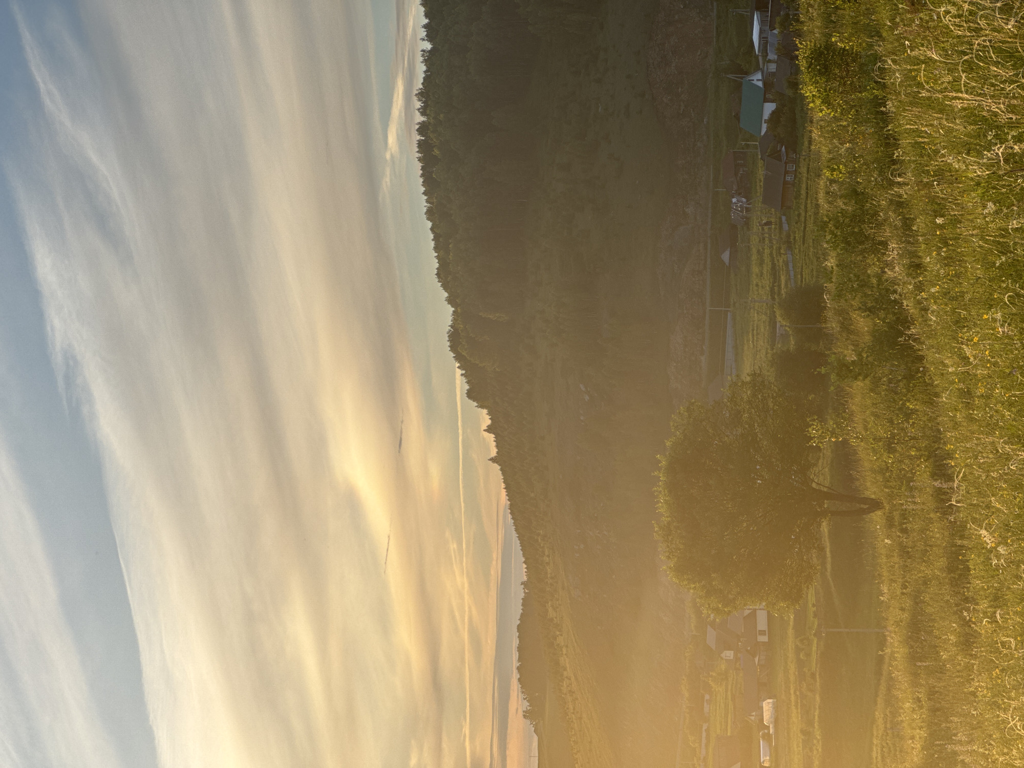 The image depicts a tranquil rural scene in Baiki, Russia, bathed in the warm, golden light of either sunrise or sunset. The landscape is dominated by a gently sloping, tree-covered hill on the left, rising towards a vast, pale sky streaked with thin, wispy clouds. The sky transitions from a soft blue on the far left to hues of yellow and white, suggesting the sun is low on the horizon.
The foreground on the right is a vibrant, sun-drenched meadow with tall grasses and scattered wildflowers. A solitary, leafy tree stands prominently in the middle ground, its branches casting dappled shadows. Nestled within the meadow, below the tree, is a small collection of houses with pitched roofs, indicating a residential area. Some structures appear to be simple dwellings, while others might be sheds or outbuildings. The overall impression is one of peace and natural beauty. The time of day is clearly either early morning or late evening due to the low angle of the sun and the warm, diffused lighting. The weather appears clear and calm, with no signs of rain or strong winds. There is no visible text in the image. The scene evokes a sense of serenity and the quiet charm of rural life.