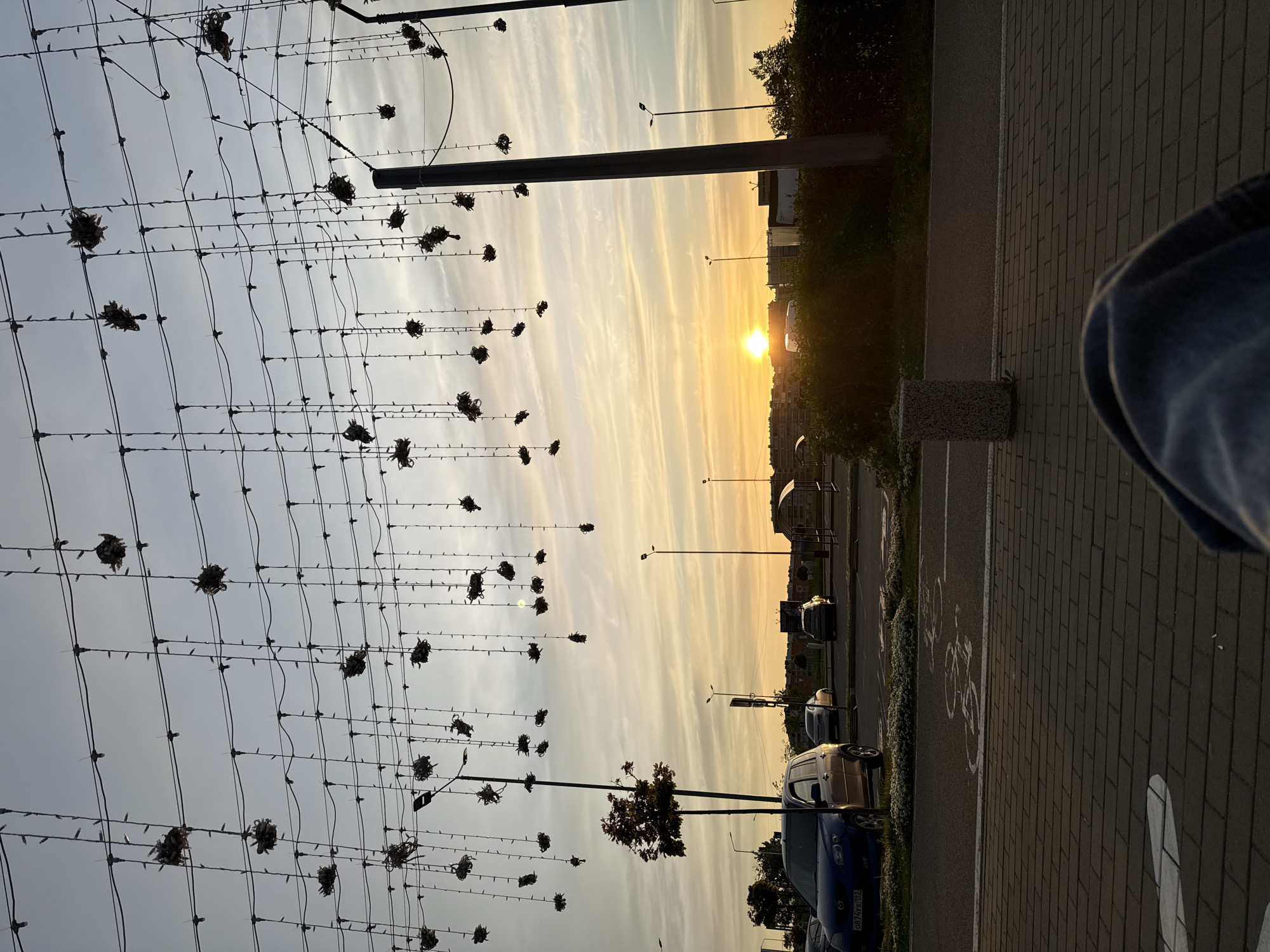 The image captures a cityscape at sunset, featuring a row of ornamental light structures with hanging decorative elements on the left. These structures are connected by wires and have lamp posts nearby. The setting sun is visible on the horizon, partially obscured by buildings and trees. To the right, a paved area with marked parking spaces, and a bicycle lane design. Cars are parked along the road, and a concrete bollard. A person's arm is also visible.