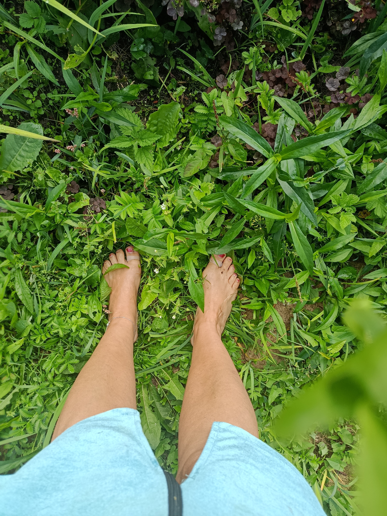 This is a high-angle, full-body shot of a person standing barefoot in a lush, green, and varied outdoor environment. The person's legs, wearing light blue shorts, are visible from the thighs down. Their feet are planted on the ground amidst dense vegetation. The ground cover consists of various green plants, grasses, and some reddish-brown foliage. There are small white flowers scattered throughout the green plants. The lighting suggests it is daytime. The image does not provide any specific details that would allow for identification of a location within the city of Vereya, Russia.