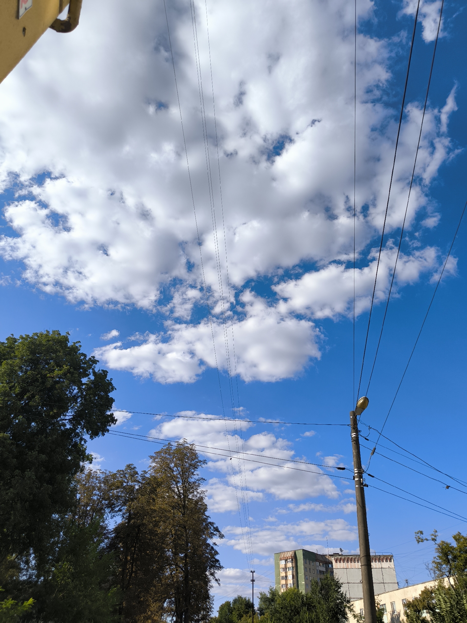 A low-angle shot captures a bright blue sky dotted with white, fluffy clouds. Multiple power lines crisscross the frame, forming a diagonal pattern against the sky. In the lower right, a concrete utility pole with a street lamp is visible. To the left and bottom, the dark green foliage of trees partially obstructs the view. In the background, a tall, multi-story building with a green and gray facade stands out. The scene suggests an urban or suburban environment in Chișinău, Moldova, on a clear day.