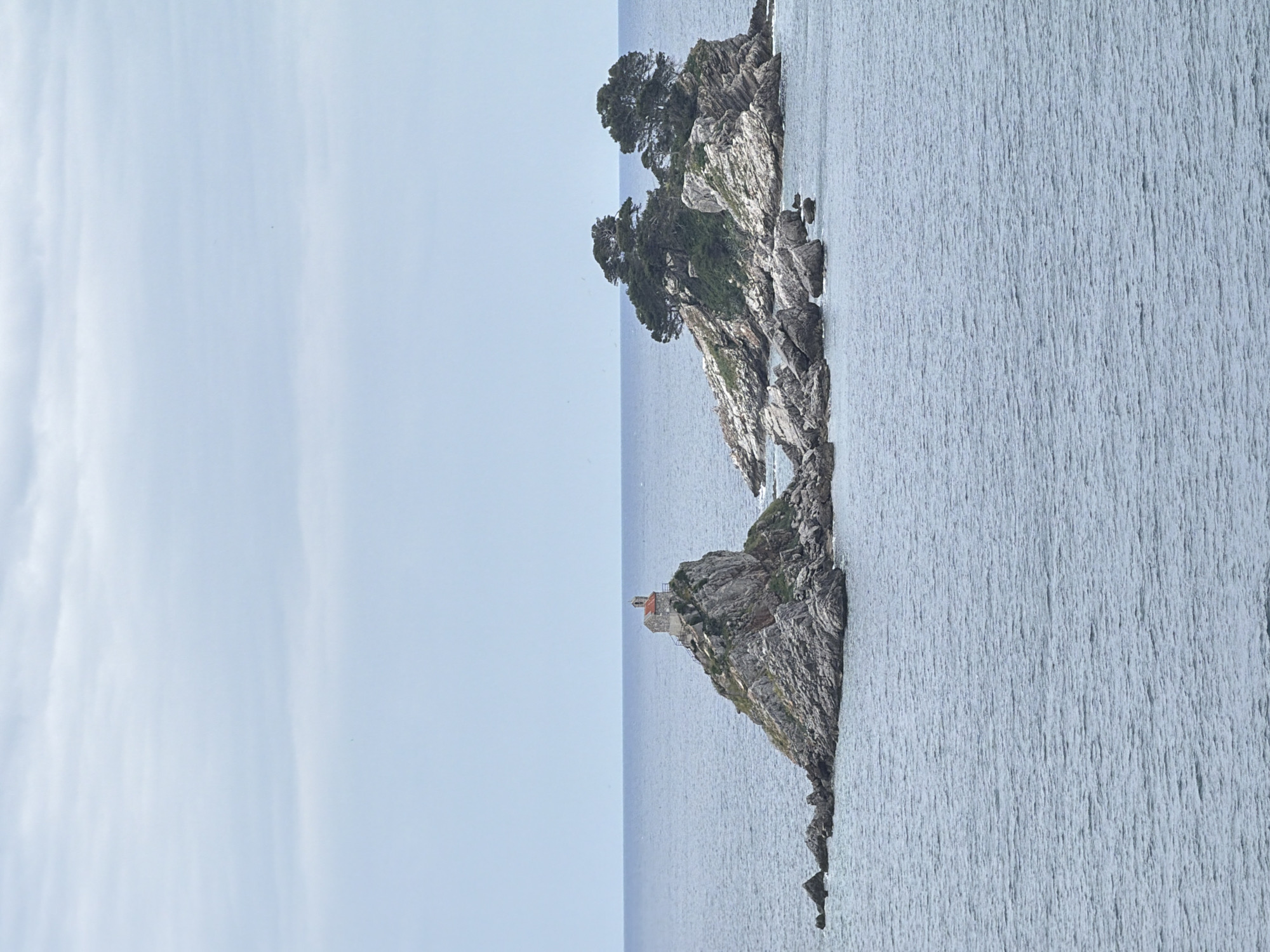 The image shows a rocky promontory extending into the sea, possibly in the vicinity of Petrovac centar, Montenegro. The promontory has trees growing on it and a small structure with a red roof sits on the end. The sea is a pale blue-grey with vertical lines indicating texture, and the sky is light blue with soft white clouds. There are no people visible.