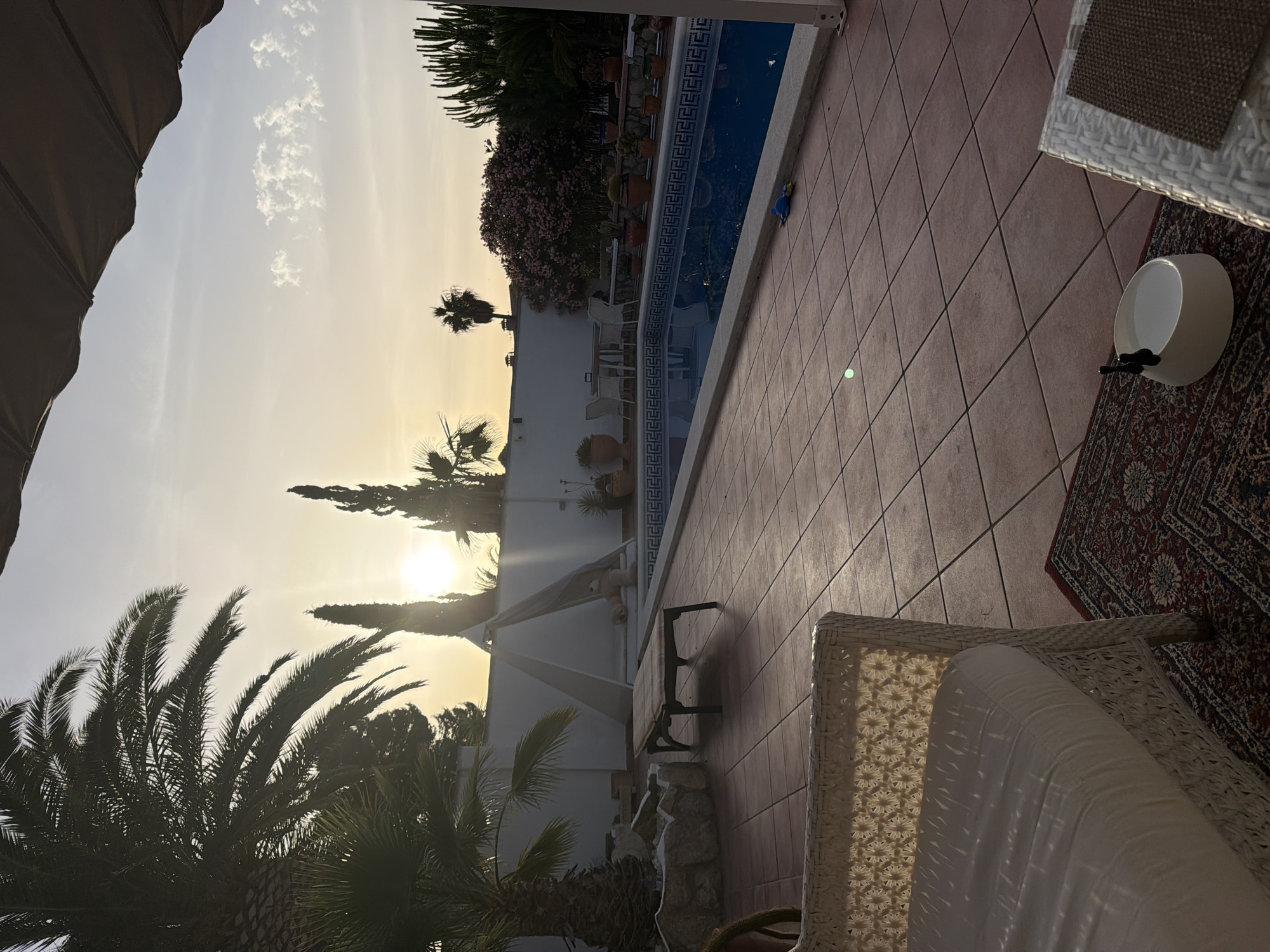 The image depicts a backyard scene in Mont-roig del Camp, Spain, at sunset. A swimming pool with a tiled edge is prominently featured in the foreground and midground, reflecting the warm, golden light of the setting sun. The patio area around the pool is paved with terracotta tiles, and a patterned rug is visible on the left side.
On the left, a white wicker armchair with cushions is partially visible, casting shadows on the tiled floor. A low, dark-colored chaise lounge with a striped cushion sits near a decorative rock formation. Further back, a triangular tent-like structure with a teddy bear inside is positioned near the pool.
Palm trees and other greenery, including a large flowering shrub with pink blossoms, are scattered throughout the scene, framing the pool area. In the background, a white wall encloses the property, with tall, slender cypress trees and other plants visible against the sky. The sky itself is a pale orange and yellow, with wispy clouds, indicating the late hour of the day. The overall impression is one of a tranquil, warm-weather setting.