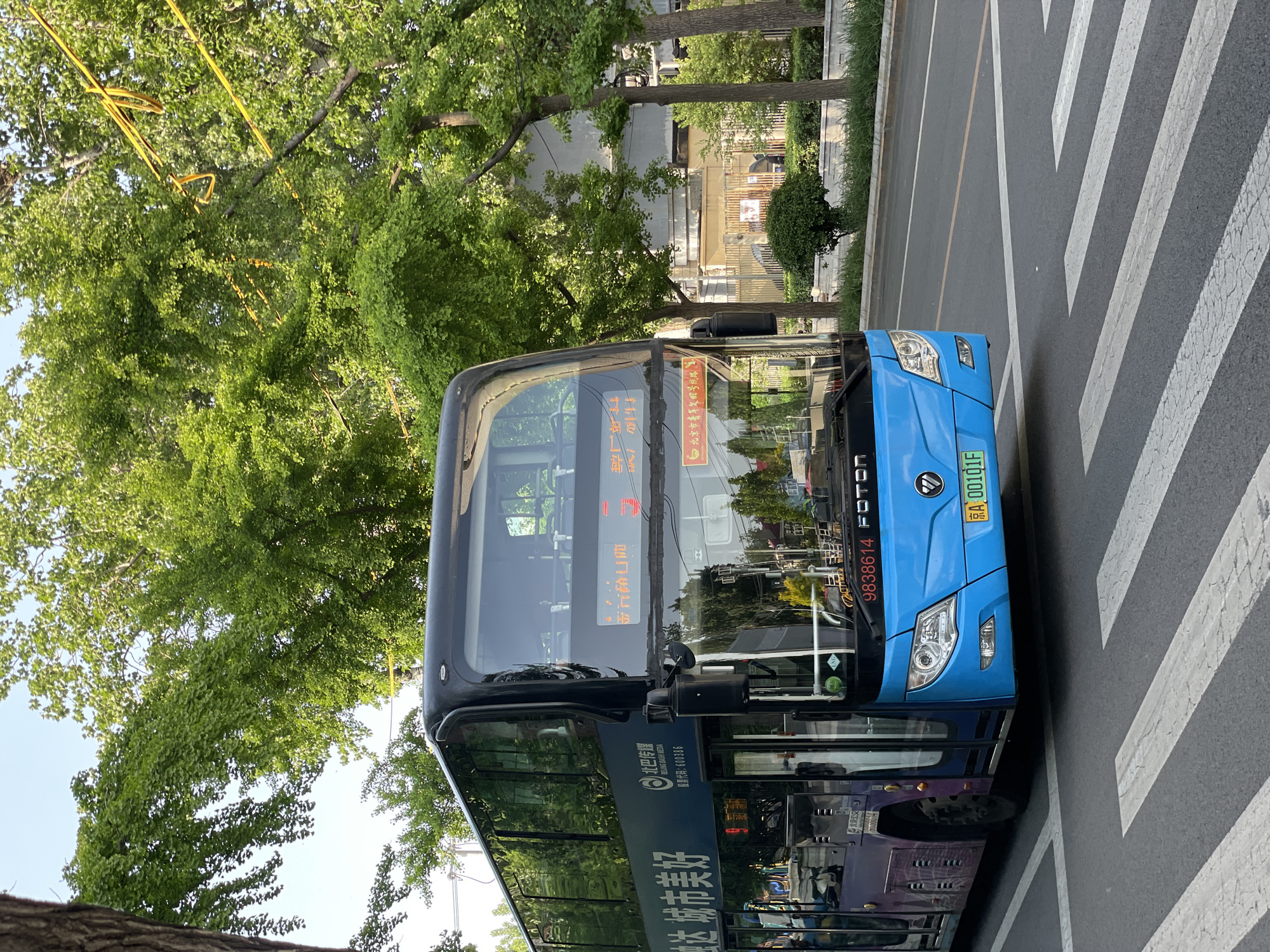 The image depicts a blue double-decker bus in Chaoyang District, China. The bus is stopped on a zebra crossing. The bus has the license plate 京A 00101F and text indicating it is from Beijing Bash Media, stock code 600386. Text on the side of the bus reads "Dida Urban Beauty." There are trees in the background and overhead, and a building is visible behind the trees. Yellow cables are also visible within the branches of the trees.