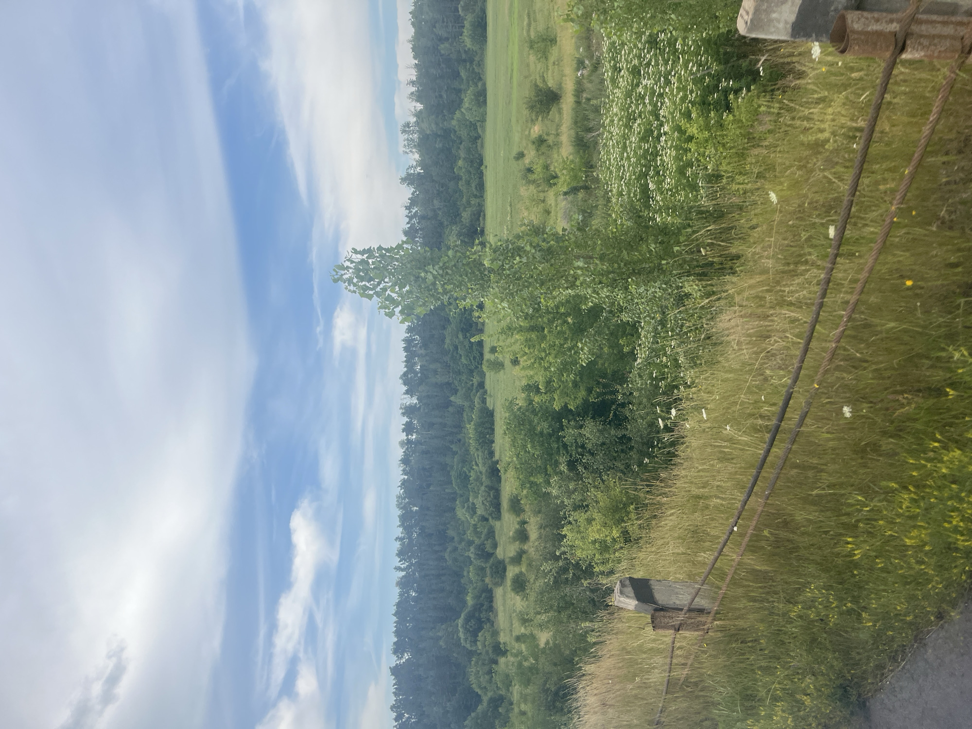 The image depicts a wide, scenic view of a rural landscape under a cloudy sky. In the foreground, tall, dry grass and some scattered yellow wildflowers are visible, partially obscuring a rusty wire fence supported by a concrete post. Beyond the fence, a vast green field stretches out, dotted with various trees and bushes. A dense forest forms the backdrop, with a line of trees reaching towards the horizon. The sky is a mix of blue and white clouds, with streaks of sunlight breaking through. The overall impression is one of a peaceful, natural setting, likely in the countryside. The location is described as Unknown, Unknown, within the city of Unknown. There are no people or specific actions depicted in the scene.