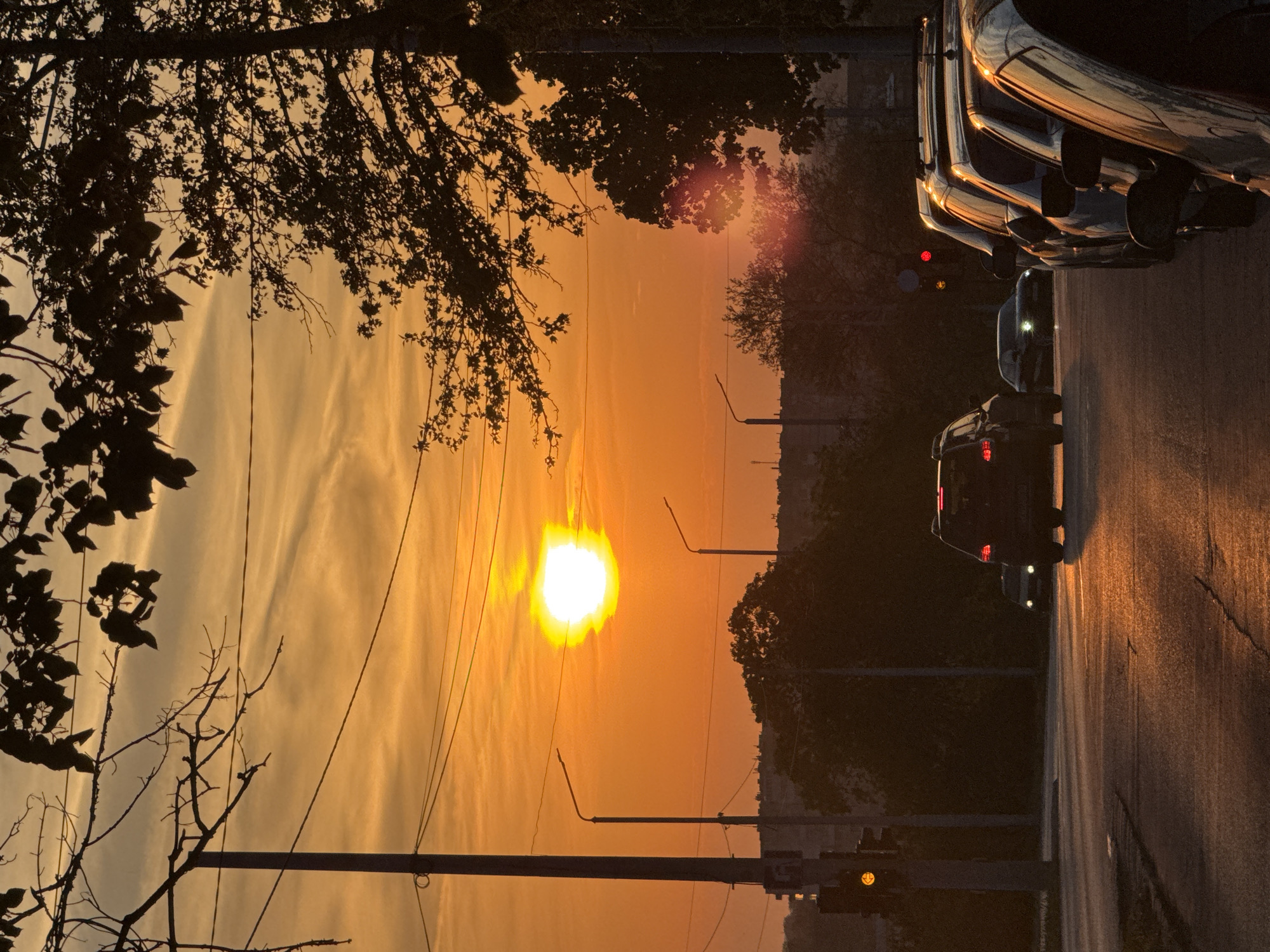 The image depicts a sunset scene in Dobrich, Bulgaria. The bright sun is low on the horizon, casting a golden-orange light across the sky and landscape. Silhouetted trees frame the scene on the left, while parked cars line the right side of a street. Cars are moving on the road. Utility poles and streetlights are visible.