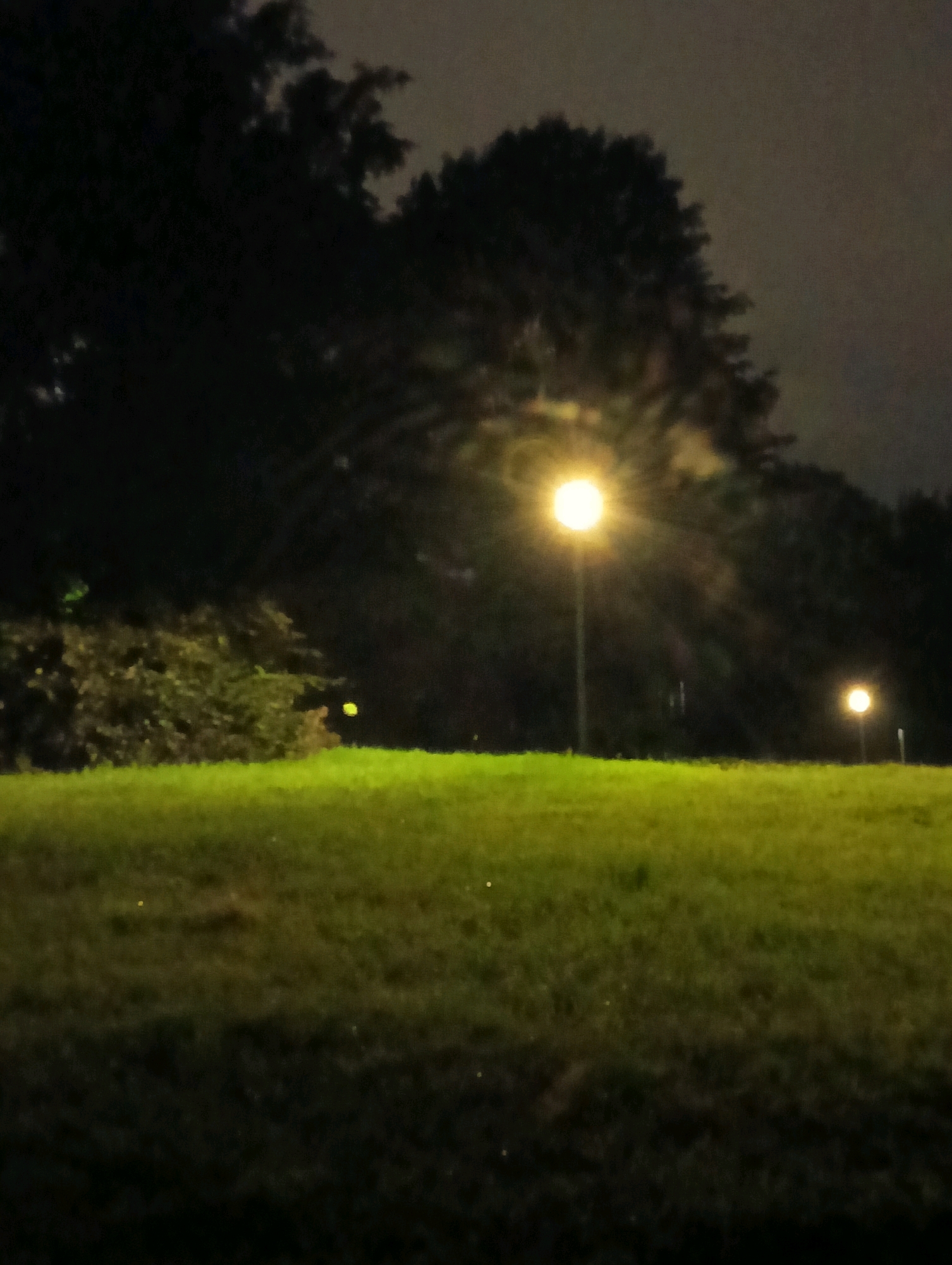 The image depicts a nighttime scene with a dimly lit grassy field in the foreground. Two lampposts with glowing lights are visible in the background, illuminating the surrounding dark trees and a hazy sky. The environment suggests an outdoor public space, possibly a park or a field on the outskirts of a city. The lighting is artificial and creates a somewhat eerie or mysterious atmosphere. There are no people or animals present in the image. The overall impression is one of stillness and quiet.