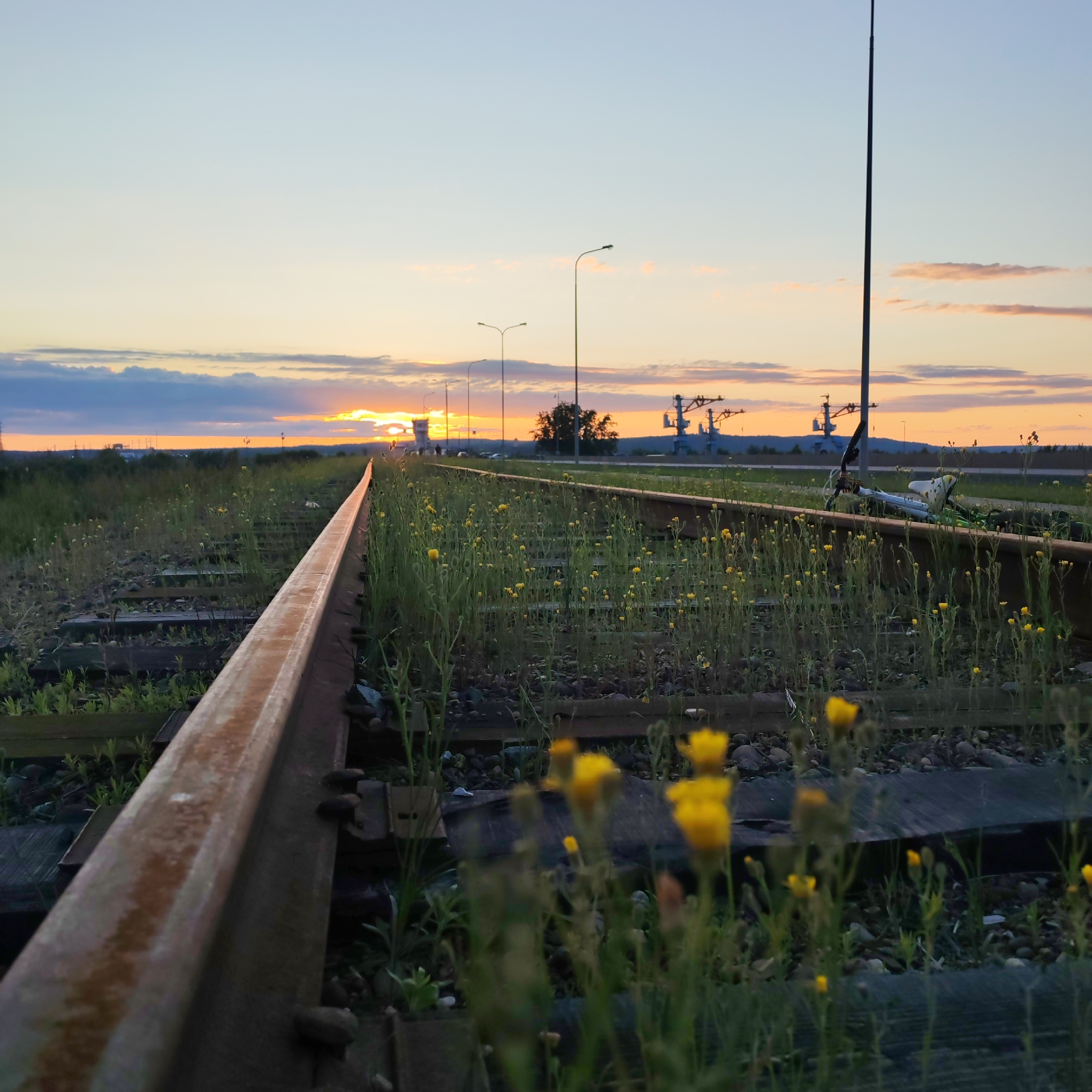 The image captures a serene sunset over a landscape featuring abandoned-looking railway tracks near Chaikovsky, Russia. In the foreground, a rusty railroad track runs diagonally from the bottom left, leading the eye towards the distant horizon. Yellow wildflowers, possibly dandelions, grow densely between the wooden sleepers and gravel ballast of the tracks, and in the surrounding grassy areas.
The sun, low on the horizon, casts a vibrant orange and yellow glow across the sky, with visible sunbeams piercing through scattered clouds. The sky transitions from warm hues near the horizon to a pale blue higher up. Along the horizon, various industrial structures are silhouetted against the bright light, including several tall streetlights, what appear to be large gantry cranes or similar machinery, and a small control tower or building. A second set of railway tracks is visible further in the midground, running parallel to the foreground track.
On the right side, lying beside the tracks and partly obscured by vegetation, is a light-colored bicycle. A tall, thin utility pole stands prominently on the far right. The scene conveys a sense of quietude at dusk, with natural elements thriving amidst industrial infrastructure. No visible text is discernible in the image.