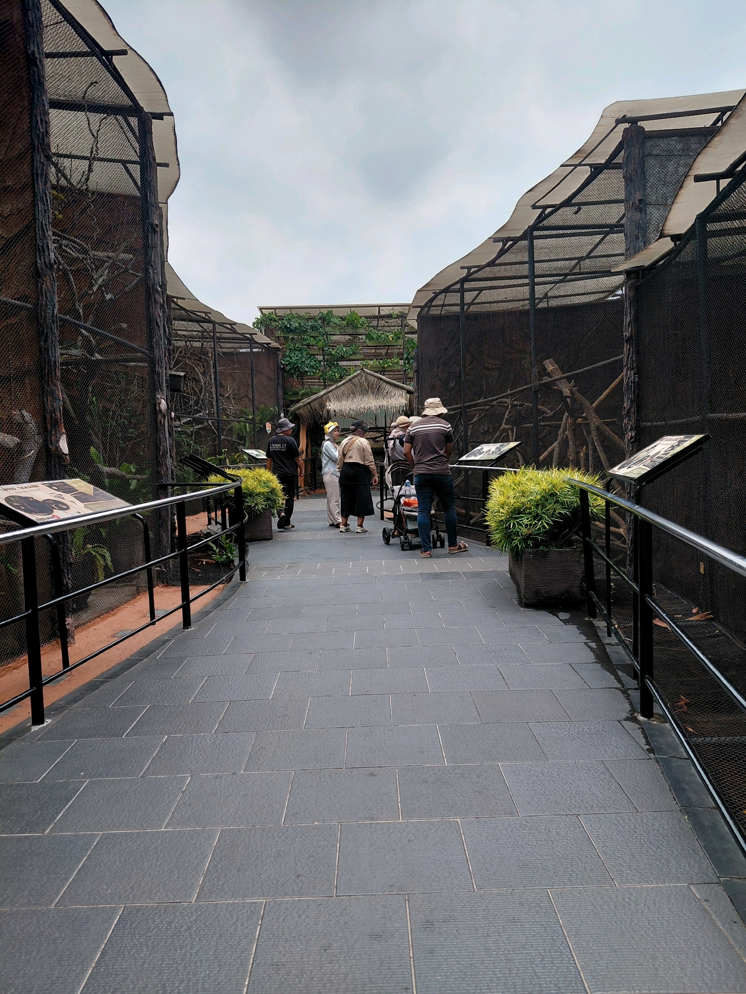 The image depicts an outdoor walkway within a zoo enclosure in Batu, Indonesia. The walkway is paved with dark gray rectangular tiles and is bordered by black metal railings on both sides. On the left and right, large, enclosed habitats with mesh exteriors and weathered-looking faux-rock walls are visible. These enclosures appear to house animals, with branches and foliage visible inside. Several information displays are mounted on stands along the walkway.
In the center of the walkway, a group of four people are standing. One person, wearing a black t-shirt with white lettering and a gray baseball cap, is facing away from the camera. Next to them, a person in a light blue shirt and white headscarf is looking towards the enclosure. To their right, a person in a beige jacket and black skirt is also facing the enclosure. Further to the right, a person in a striped t-shirt and a light-colored hat is pushing a stroller and facing away from the camera.
In the background, a thatched-roof structure and more greenery suggest a naturalistic zoo environment. The sky is overcast. The scene appears to be a public area within the zoo, with visitors observing the animal habitats.
