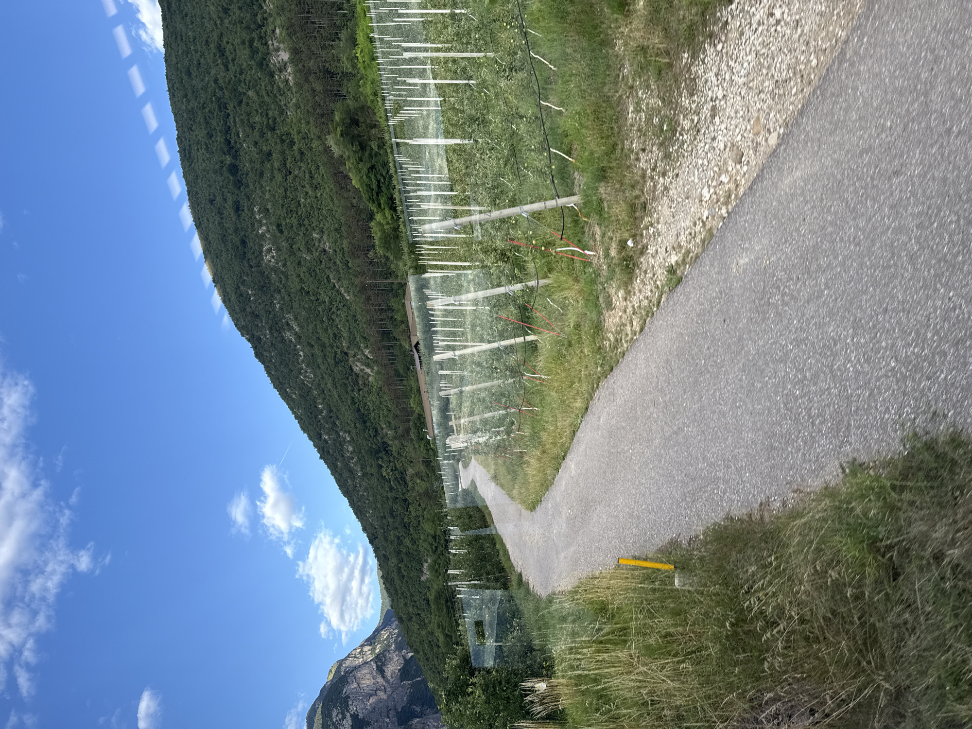 This media file captures a picturesque landscape scene, likely in Spormaggiore, Italy. The image is oriented vertically, with the sky occupying the upper portion and the land below. A lush green mountain slope dominates the left side of the frame, covered in dense trees. In front of the mountain, a cultivated field, possibly an orchard, stretches into the distance, characterized by neat rows of white posts and netting, suggesting agricultural activity. A paved pathway, appearing to be a walking or cycling path, winds its way through the scene on the right side of the frame. The path is bordered by grassy areas and loose stones. The sky is a vibrant blue, dotted with a few fluffy white clouds. The lighting suggests it is daytime, likely late morning or early afternoon, with the sun casting shadows and illuminating the landscape. There is no visible text in the image. The overall mood is serene and natural, evoking a sense of tranquility and outdoor recreation.