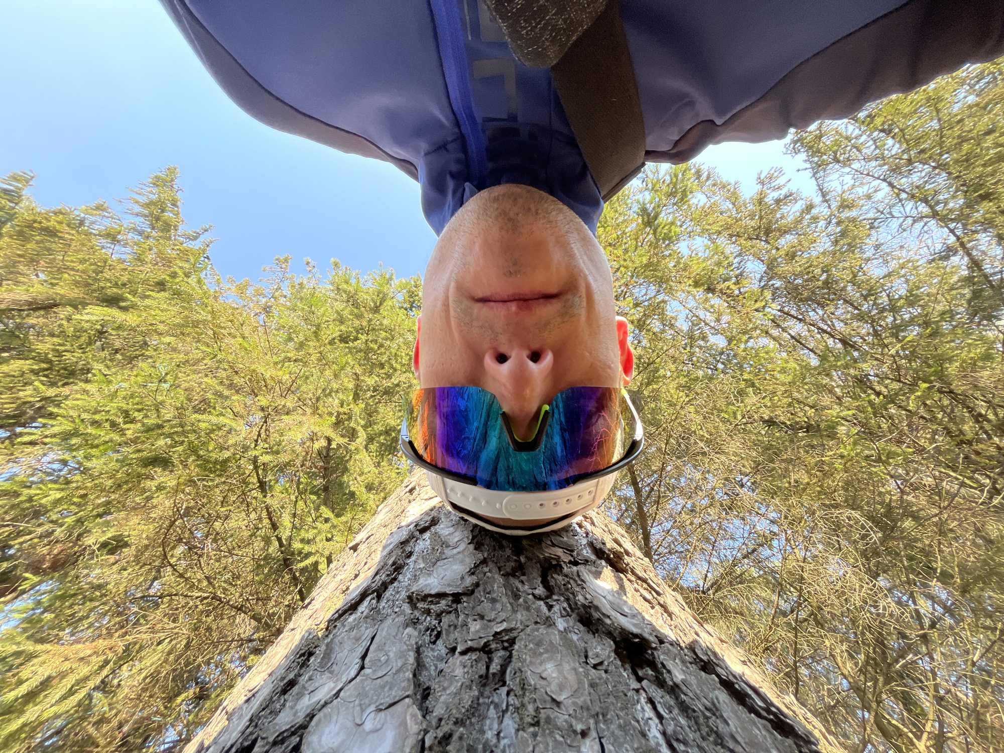 An upside-down eye-level view of a person wearing reflective sunglasses and a baseball cap, seemingly lying against the trunk of a tree, in what appears to be a wooded area with a blue sky visible through the trees. The person is wearing a lavender and gray jacket. The image was likely taken from a low angle, looking up at the person. The location is Chaikovsky, Russia.