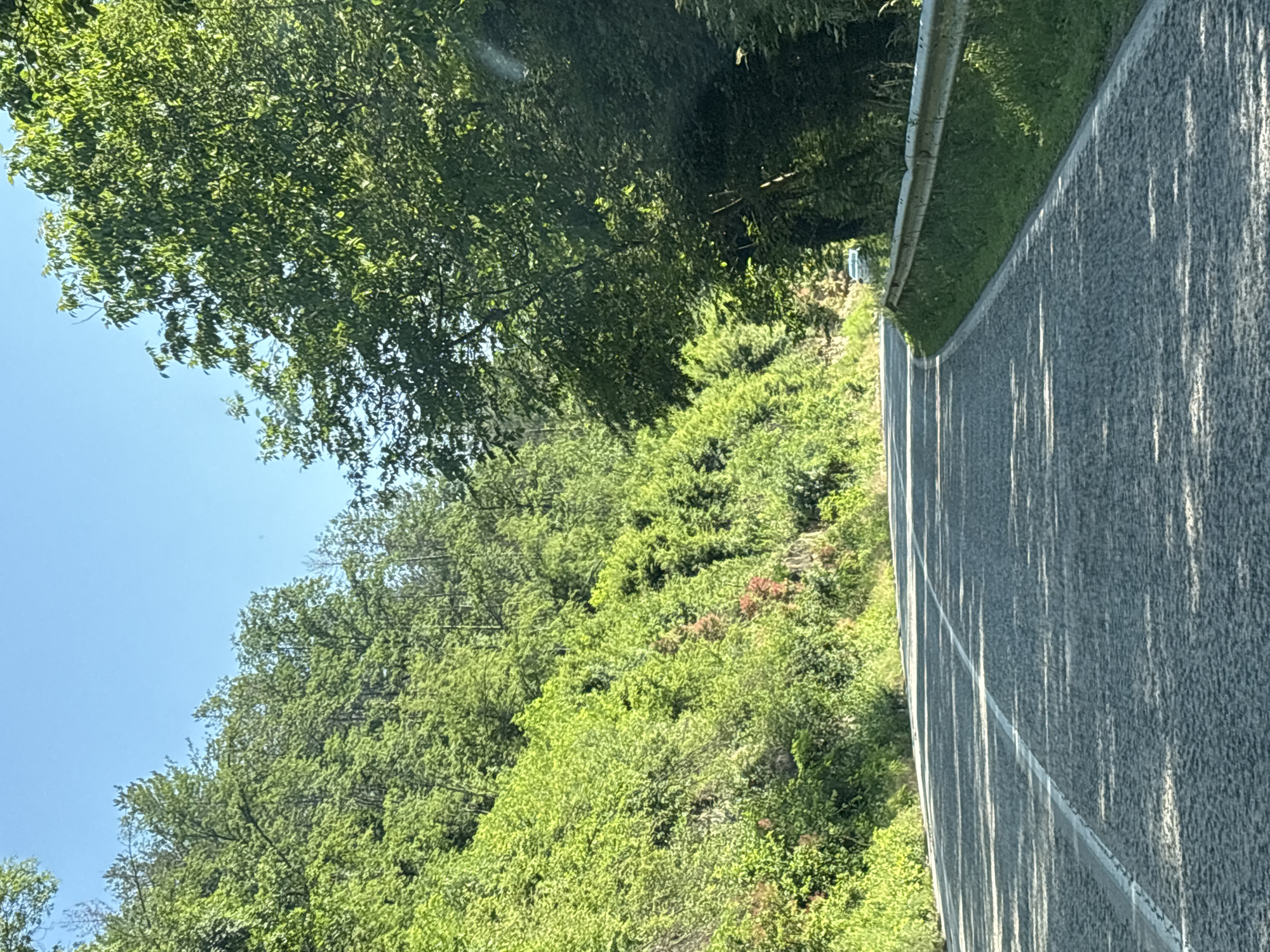 The image depicts a winding paved road in a lush, green, forested area. The road has a white line marking the center and a white line along the right edge. On the left side of the road, a steep, tree-covered hillside rises sharply. On the right side, there is a metal guardrail and a grassy verge, with more trees beyond. Sunlight casts dappled shadows across the road from the overhead foliage. In the distance, a white car is visible on the road. The sky is clear and blue. The location is identified as Stoichоvtsi, Bulgaria, suggesting this is a road within or near the village. There are no people visible in the image.