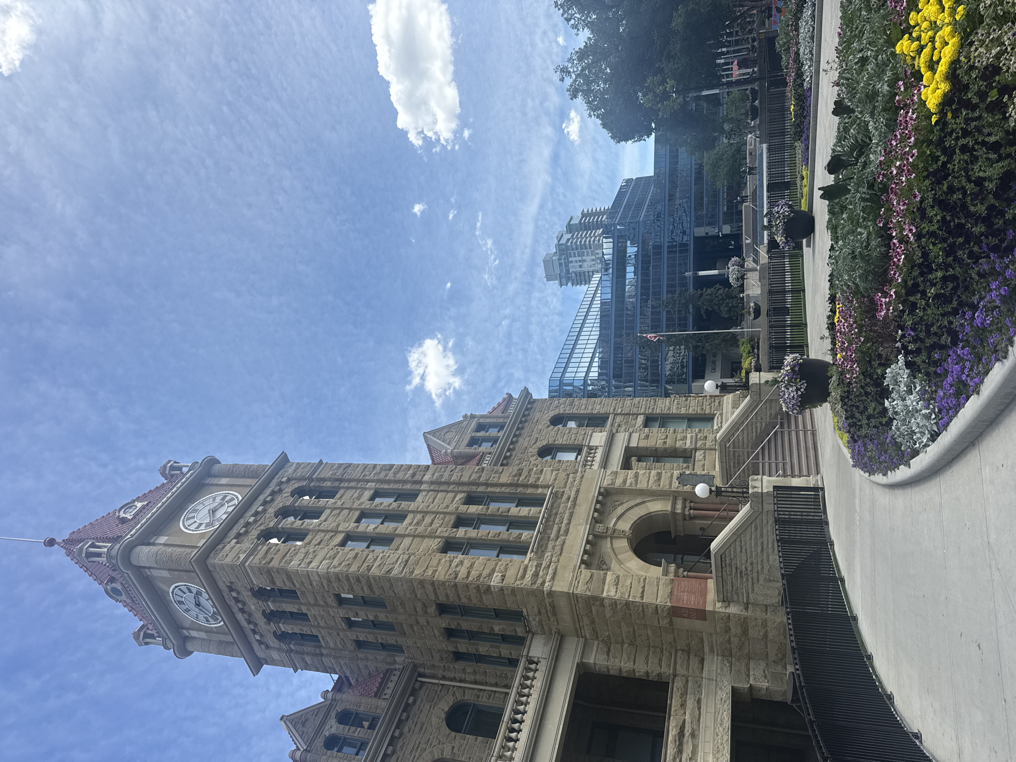 The image shows a view of the Calgary City Hall and the new Municipal Building in Calgary, Alberta, Canada. The historic sandstone City Hall, with its prominent clock tower, is on the left. In front of it, a paved walkway curves around a brightly colored flower garden. To the right of City Hall, the modern Municipal Building with its glass facade reflects the sky and surrounding buildings. The sky is blue with scattered white clouds. The scene is set on a bright, daytime.