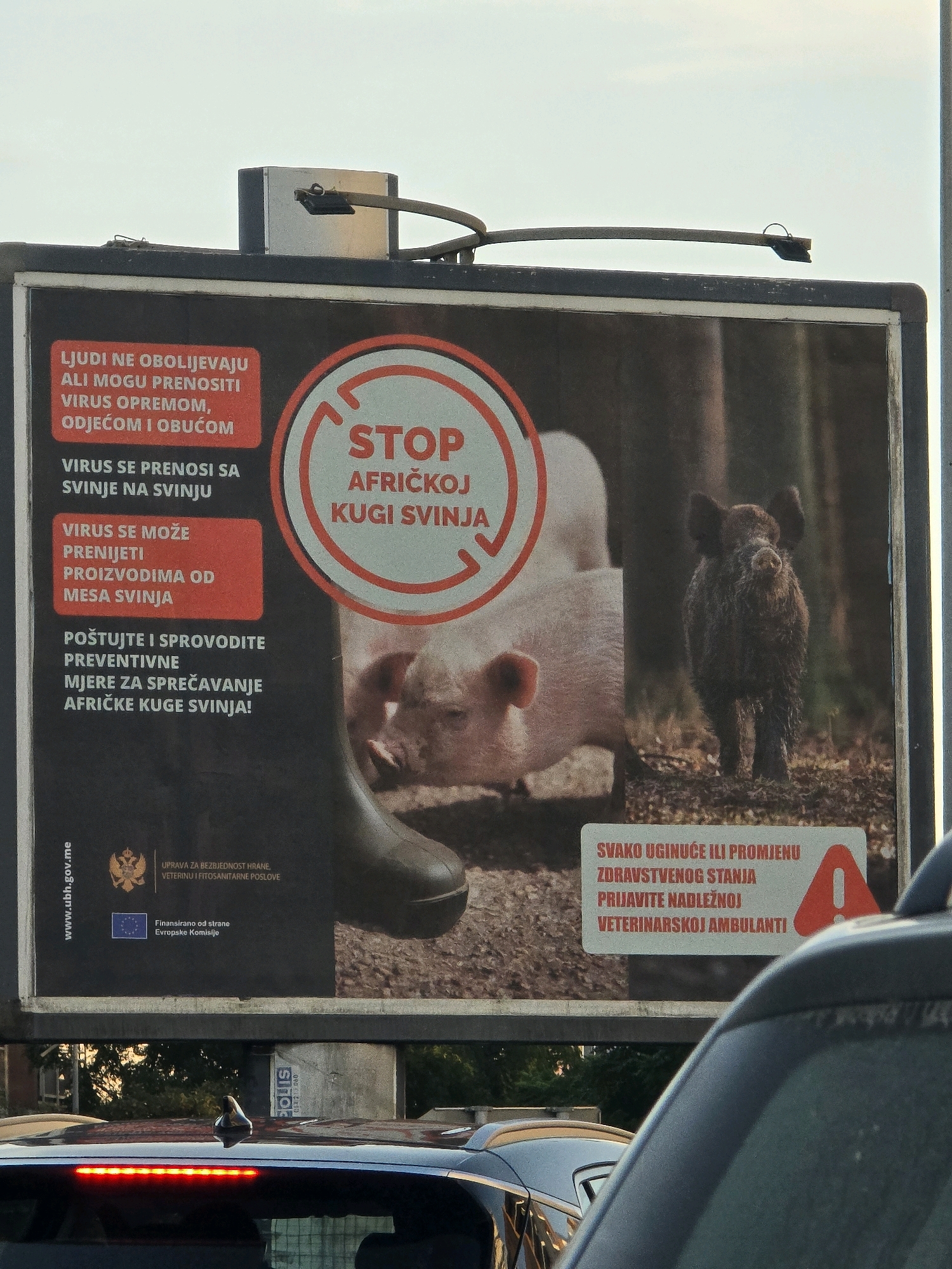 A billboard is displayed in the city of Podgorica, Montenegro, advocating for the prevention of African swine fever. The billboard features an image of a pig and a wild boar, with text in Serbian highlighting the risks and preventative measures. The advertisement is placed above a street, with cars visible in the foreground. The sky is overcast, suggesting an outdoor setting in an urban environment. The billboard itself is mounted on a structure, and its message is directed towards the public to raise awareness about the disease.