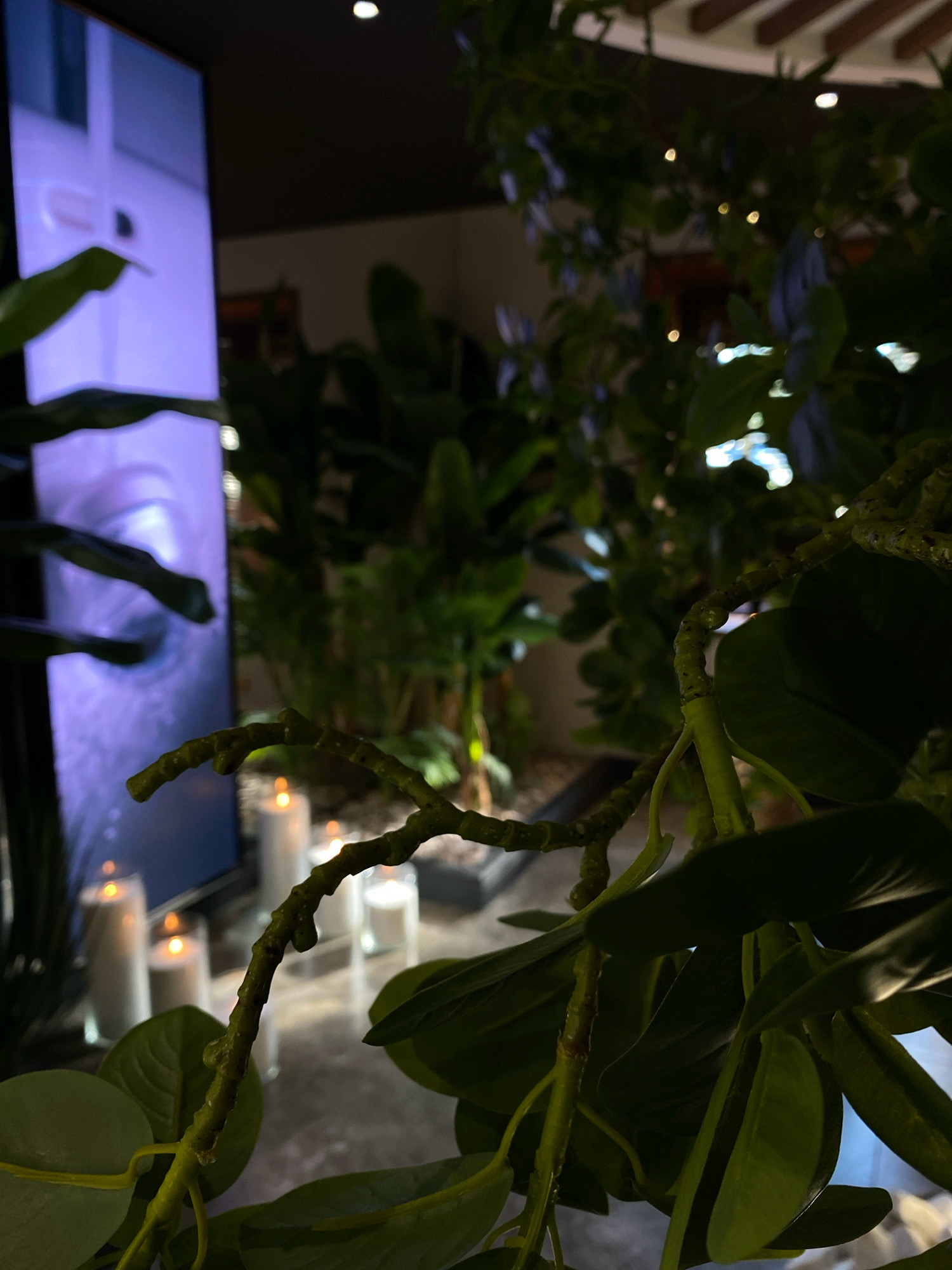 The image depicts a dimly lit indoor scene, possibly a restaurant or event space, with a large vertical screen displaying a close-up of an eye, lit in purple. In the foreground, a branch of artificial greenery with leaves obscures part of the view. Behind the greenery, several white pillar candles in glass holders are lit, casting a warm glow. The background shows more foliage and what appears to be a ceiling with decorative wooden beams and small lights. There are no people visible in the frame. The location is identified as Votkinsk, Russia, though no specific landmarks or context within the city are provided in the image itself.