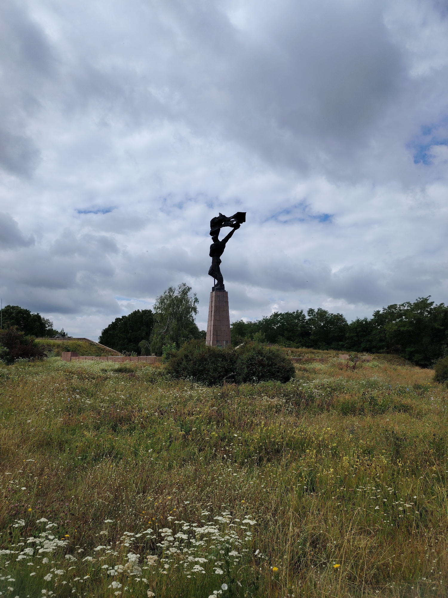 The image shows a tall, dark statue of a person holding a large object above their head, likely a monument. The statue stands on a thick, stone pedestal in a field of tall grass and wildflowers. In the background, there are trees and a cloudy sky. The scene appears to be outdoors, possibly in a park or memorial site. The weather looks overcast, with dramatic clouds filling the sky. The overall mood is solemn, fitting for a monument. The location is identified as Balyko-Shchuchynka, Ukraine. No text is visible in the image.
