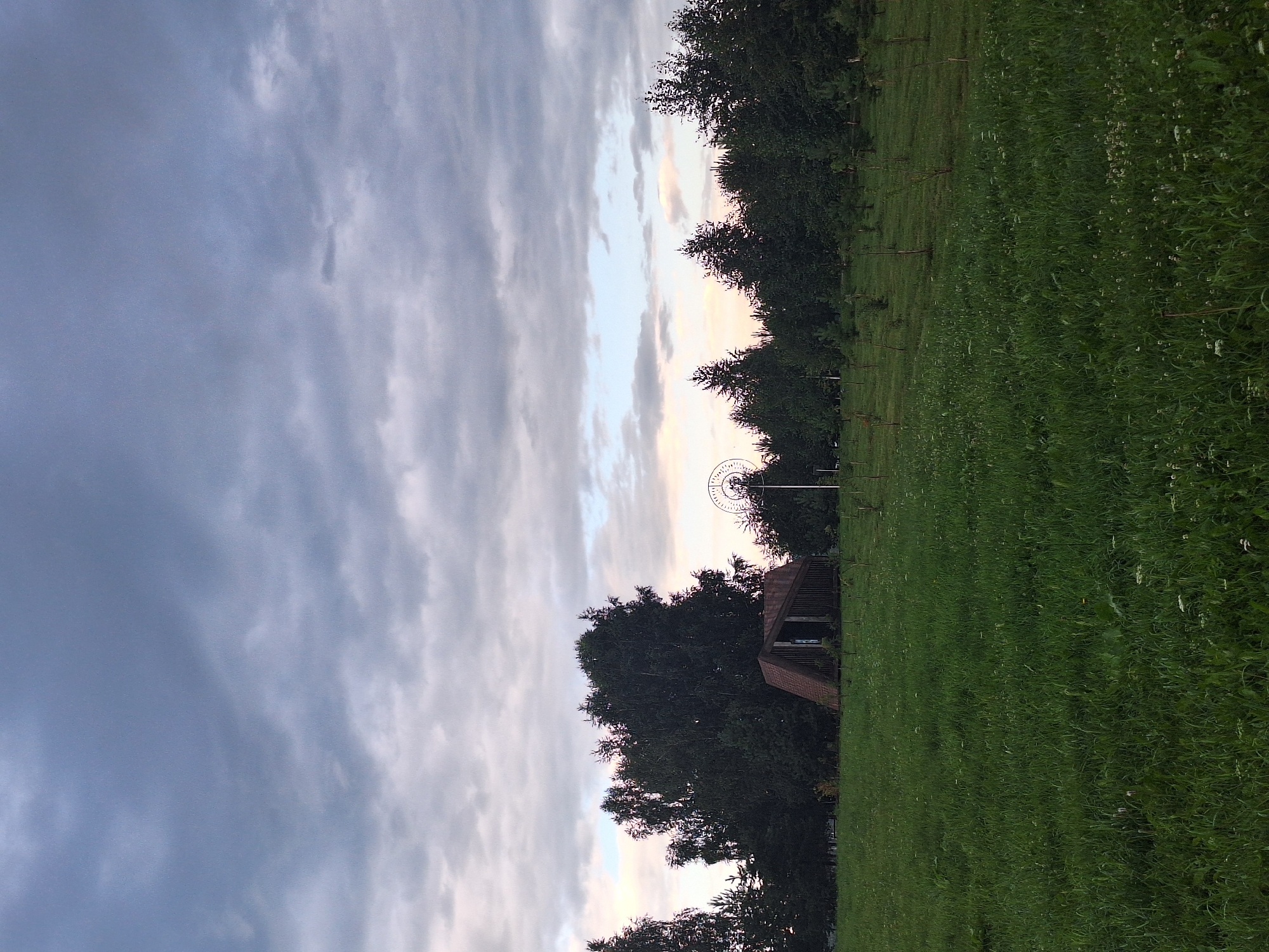 This is a full shot of a landscape in Atamanovka, Russia. The sky is filled with dark, cloudy conditions, suggesting an overcast day or approaching storm. In the foreground, there is a vast expanse of tall green grass. In the middle ground, there are several trees, some dense and dark green, and others appearing to be young saplings scattered across a gentle slope. A small, angular, rustic-looking structure with a dark, weathered roof and open sides is visible amidst the trees. Further in the background, more trees form a dense line, and on the right side, a large, circular, lattice-like structure is partially visible, possibly a decorative element or part of a larger installation. The overall scene depicts a somewhat wild or undeveloped natural area with a hint of human intervention in the form of the small structure and the circular object.