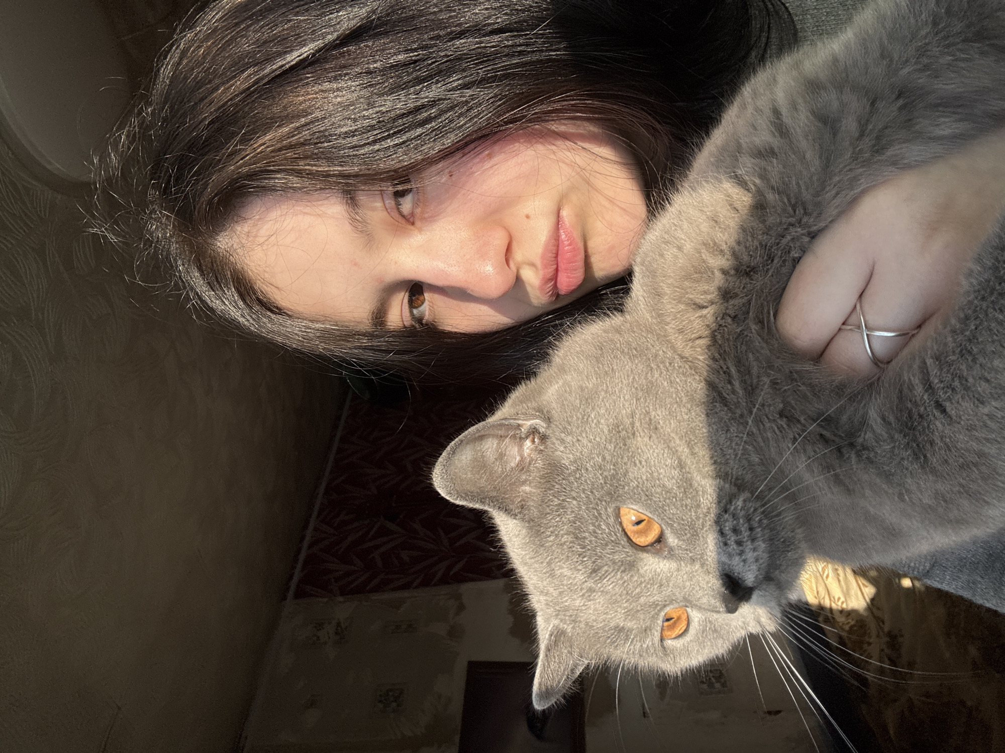 A young woman with dark hair is holding a gray cat. The woman is fair-skinned with brown eyes and pink lips. She is wearing a gray top. The cat has orange eyes and white whiskers. The background appears to be a room with patterned wallpaper. The scene is lit by sunlight. The location is unknown.