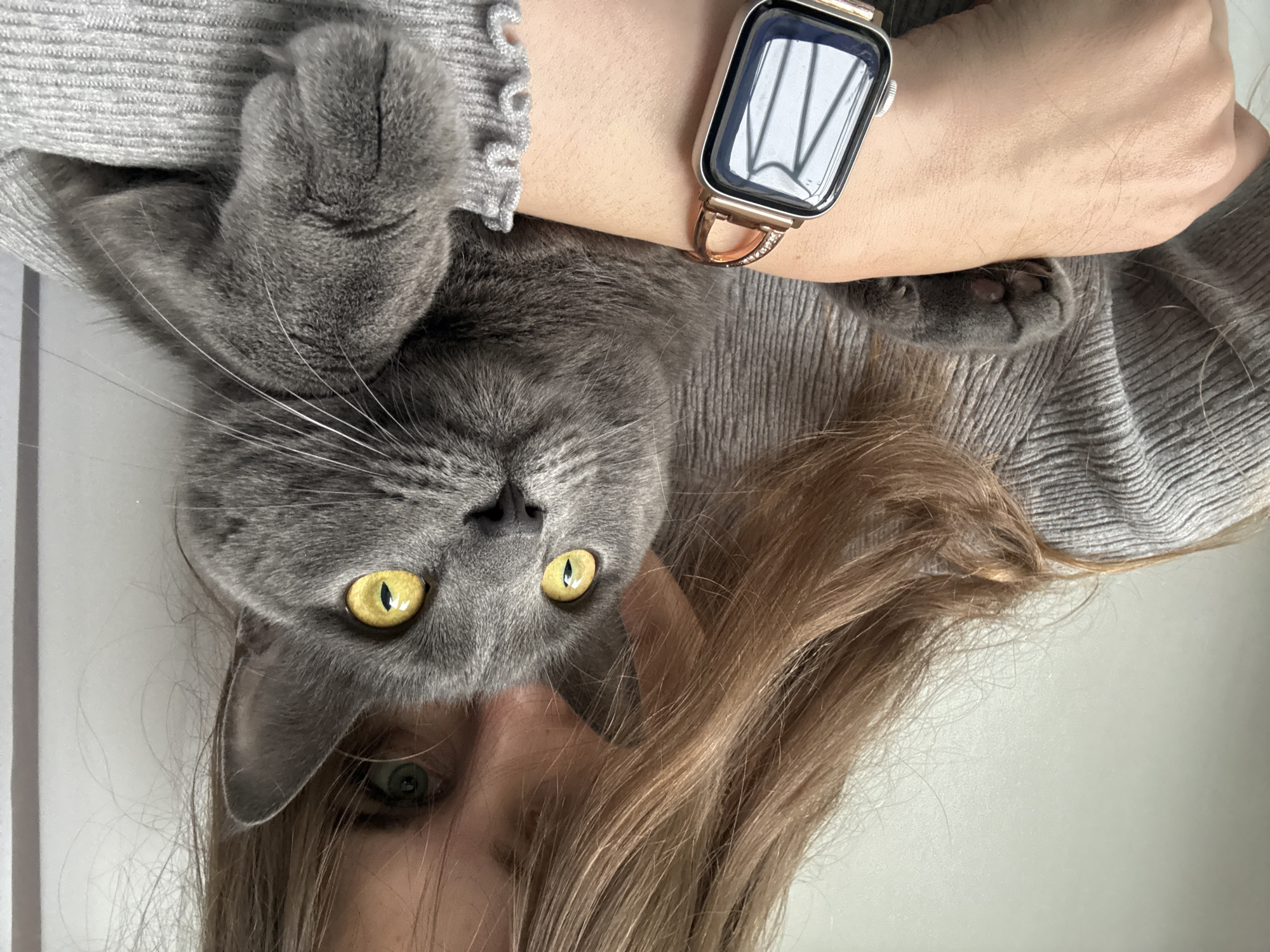 A gray cat with yellow eyes is being held upside down by a person wearing a gray sweater and an Apple Watch. The person's face and light brown hair are visible in the lower portion of the image. The background appears to be a white wall or surface. The image location, Прикамский, Russia, cannot be determined from the visual information.