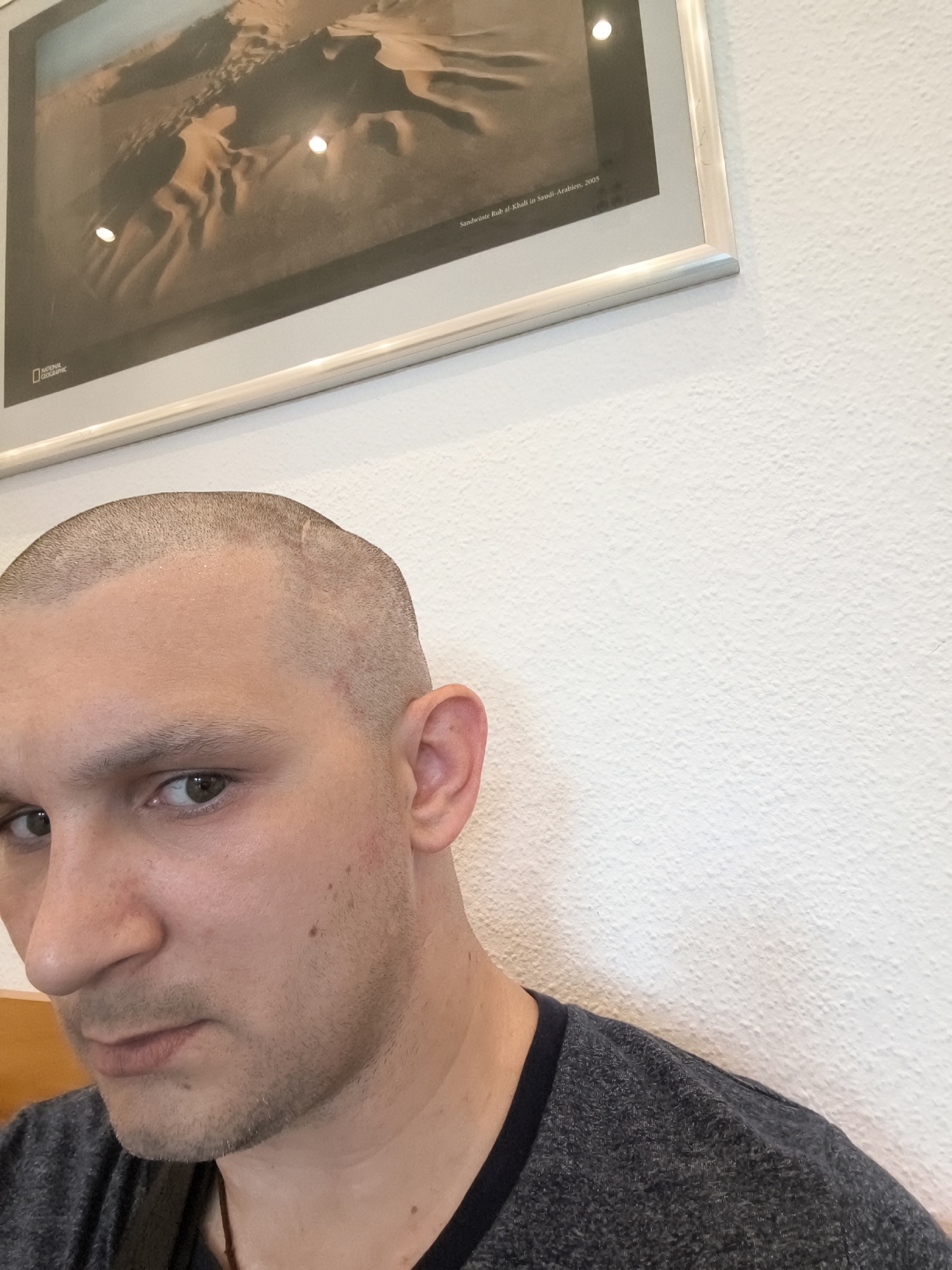 A medium close-up shot shows the left side of a fair-skinned man's face and head. He has a very short haircut and is looking towards the camera. The man is wearing a dark grey crew neck shirt. In the background, a framed picture hangs on a textured white wall. The picture is a landscape scene of sand dunes, and a National Geographic logo is visible in the lower left corner, along with text that reads "Sandwüste Rub al-Khali in Saudi-Arabien, 2003." The lighting appears to be natural, coming from the right.