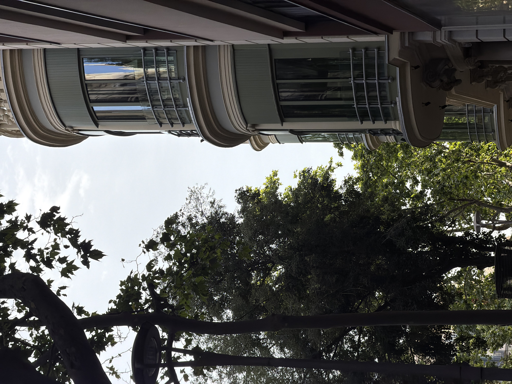 The image, taken in Barcelona, Spain, captures a building facade with a curved corner adorned with bay windows and ornate architectural details. The bay windows, painted a muted green, feature reflective glass that mirrors the sky and surrounding trees. A metal railing encloses the balconies of these windows. To the left, a silhouetted tree with lush green leaves partially obscures the view, and a street lamp is visible in the foreground. The building to the right is a plainer facade in a beige tone, with a dark vertical line suggesting a window frame. The sky above is overcast, with hints of blue peeking through the clouds.