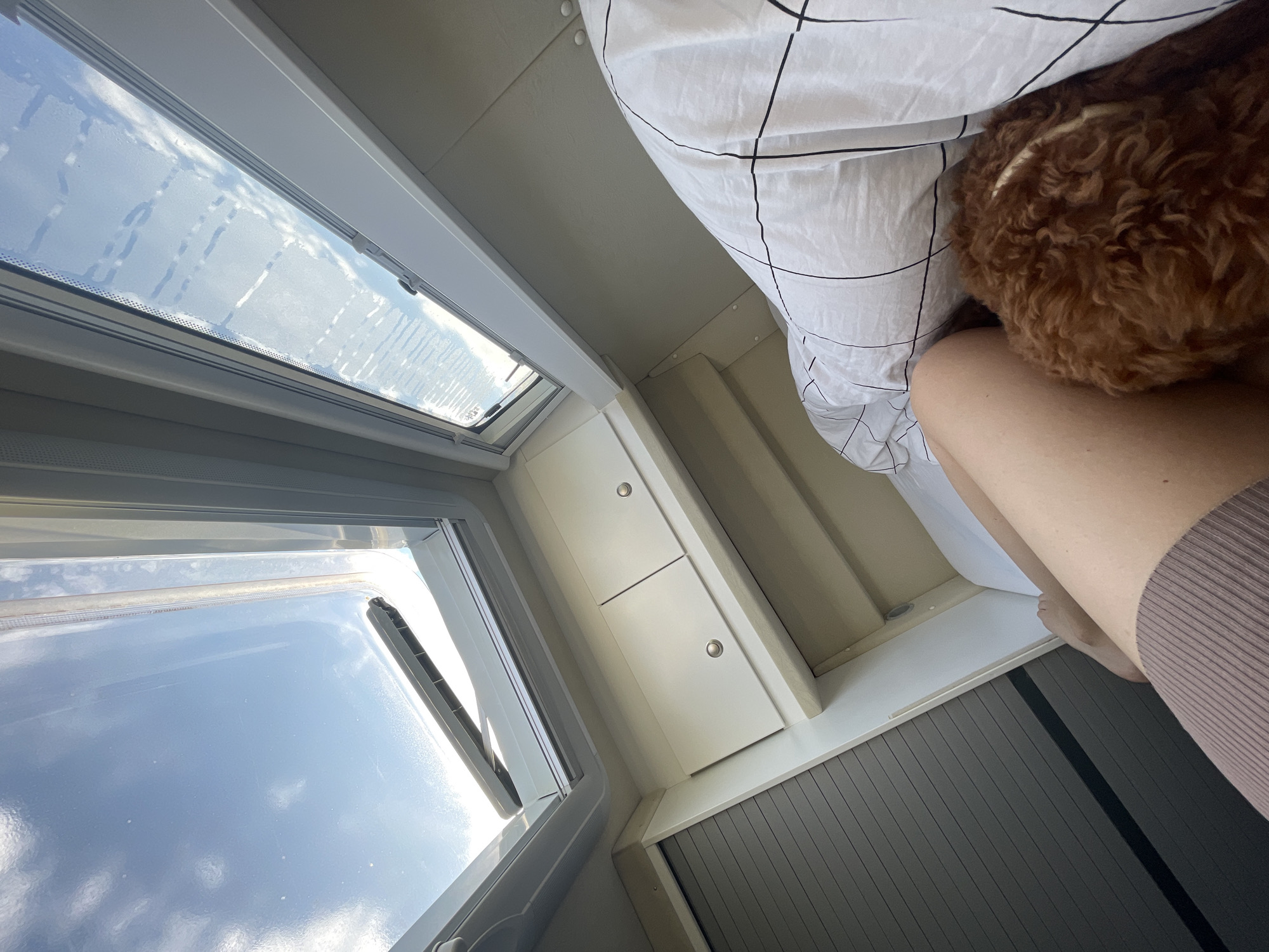 An interior upward-angled photograph depicts a compact living space, likely a recreational vehicle, located in Koprinka, Bulgaria. The upper portion of the frame features two white-framed skylights; the left skylight is slightly ajar, revealing a clear blue sky with sparse white clouds. The right skylight is closed, showing a similar sky with visible condensation or marks on its surface. Below the skylights, two white overhead storage cabinets with silver circular knobs are mounted on a light-colored wall panel. To the far left, a grey horizontally slatted roller blind or cover is partially visible. The lower right portion of the image shows a bed covered with a white duvet patterned with a black grid. A person's bare legs, wearing light brown ribbed shorts, are visible on the left side of the bed. Nestled against the person's side and partially under the duvet is a small, reddish-brown, curly-haired dog. The scene is illuminated by natural light entering through the skylights.