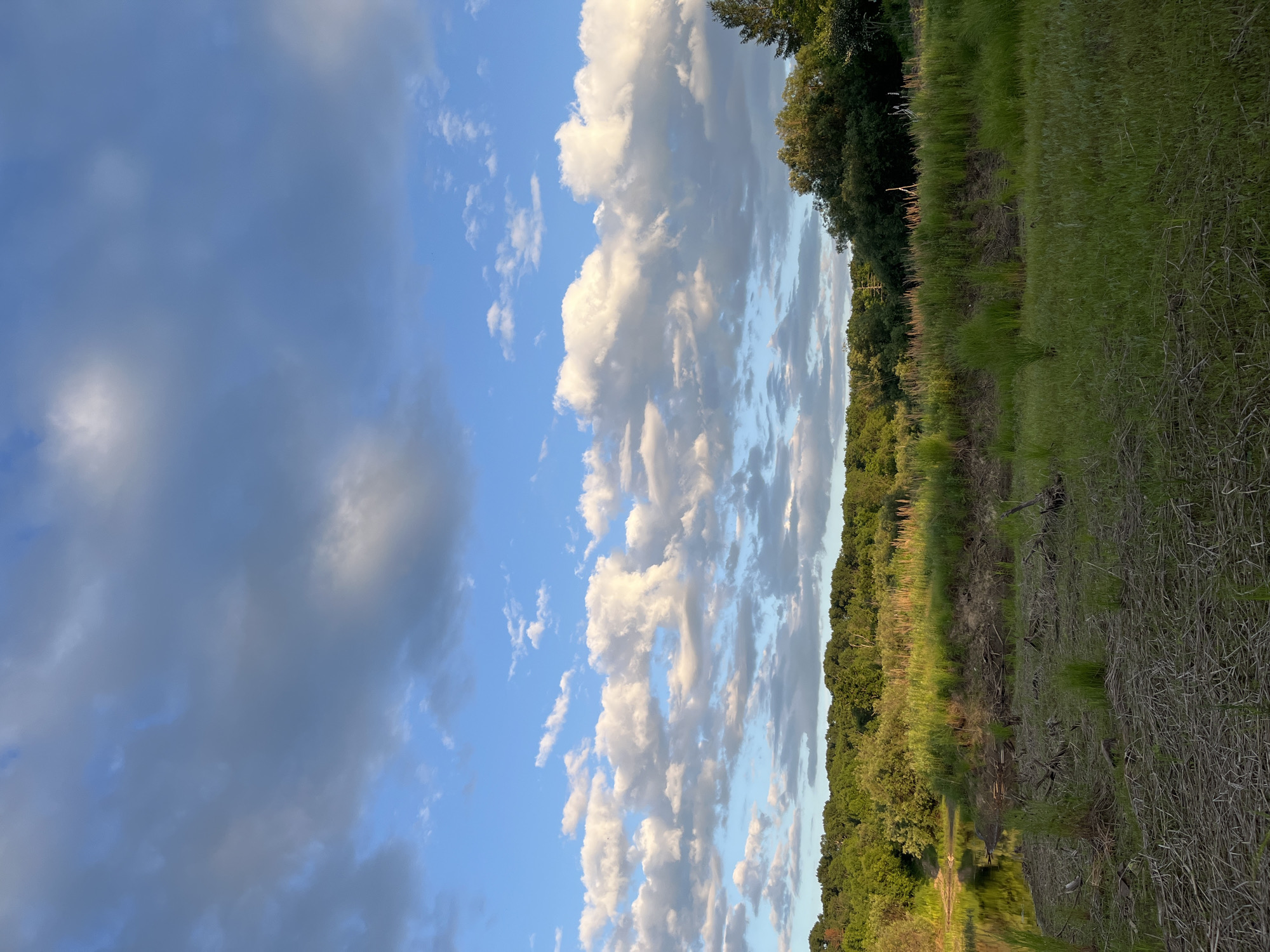 The image depicts a natural landscape with a body of water on the left, bordered by dense green foliage and a treeline in the background. The sky is partly cloudy with dramatic cumulus clouds, illuminated by warm, late-day sunlight. The foreground consists of dry grasses and some scattered debris, transitioning to lush green grass and reeds closer to the water's edge. No people or man-made structures are visible, suggesting a remote or undeveloped natural setting. The location is identified as Mayak, Russia, but the image itself offers no specific geographical markers to confirm this. The scene conveys a sense of serene, untouched wilderness.