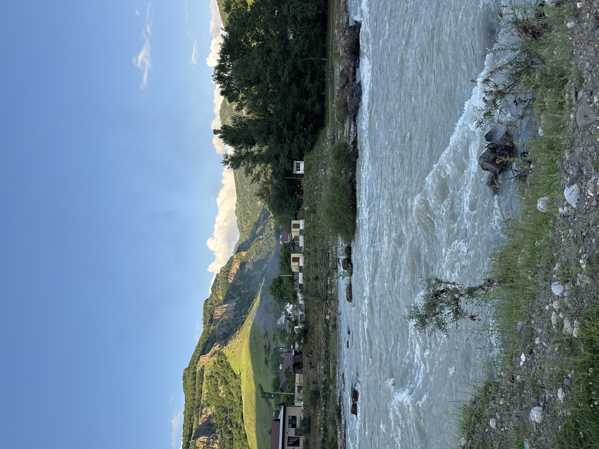 The image depicts a scenic view of the city of Каменномостское сельское поселение, Russia. A wide, fast-flowing river occupies the foreground, with choppy water and visible rocks. The riverbank is lined with gravel, stones, and sparse green vegetation, including a small, bare tree. In the middle ground, a cluster of houses and small structures are visible along the river. These buildings have red tiled roofs and are situated on a raised bank. Behind the settlement, a dense line of tall, dark green trees forms a treeline. In the background, rolling green hills rise sharply, with steep, rocky cliffs and grassy slopes. The sky is a clear, bright blue with a few scattered white clouds, suggesting daytime and fair weather. The overall scene conveys a sense of natural beauty and rural life in a mountainous region.