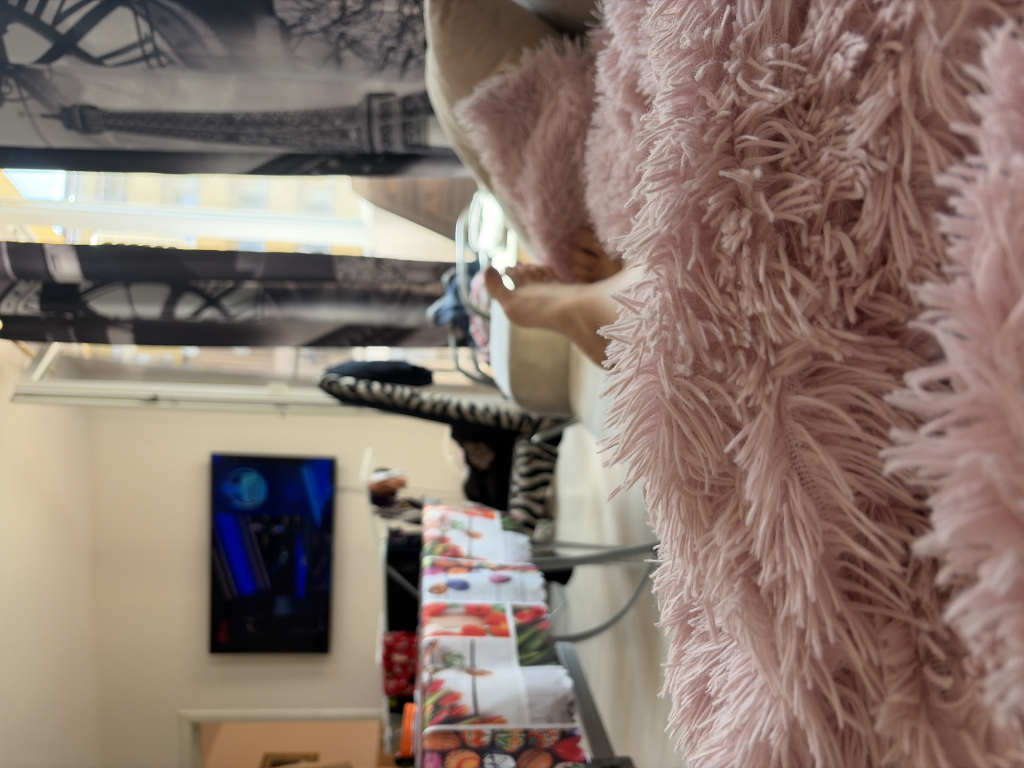 This indoor photograph captures a relaxed scene within a room, likely a bedroom or living area, presented with a low-angle perspective as if viewed from a reclining position.
In the immediate foreground, a substantial part of the frame is dominated by a voluminous, shaggy textile in a soft light pink or peach hue, suggestive of a cozy blanket or robe. A bare foot and lower leg are visible peeking from beneath this textile, indicating a person is resting comfortably.
Towards the midground, a window is apparent, allowing bright daylight to illuminate the scene. It is covered by blinds or curtains featuring a black and white print that depicts the Eiffel Tower and other Parisian landmarks, like a Ferris wheel.
Further into the background, a light-colored wall displays a rectangular piece of art or a screen, showcasing a dark blue image with distinct lighter blue vertical lines and a circular or abstract motif, possibly representing a moon or city lights at night. Below this artwork, a multi-tiered shelving unit is neatly arranged with folded white textiles, each adorned with vibrant, colorful patterns of various fruits and flowers, such as strawberries, tulips, and citrus slices. Other indistinct objects and furniture, including a black and white striped item, are also partially visible.
The scene conveys a peaceful, daytime atmosphere. There is no visible text within the image. While the visual content does not offer specific geographical cues, the context states the location is Sofia, Bulgaria.
