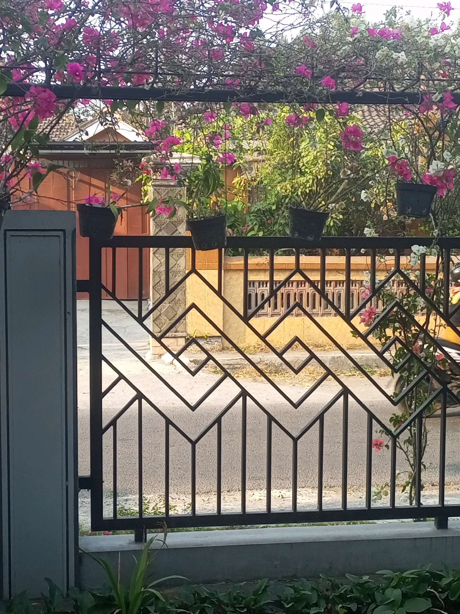 In the city of Ngasem, Indonesia, a black metal gate with a geometric pattern stands in the foreground. Beyond the gate, a house with a brown wooden door is visible, partly obscured by lush green foliage and vibrant pink and white bougainvillea flowers cascading from an overhead trellis. Several black potted plants hang from the trellis. The gate's design is composed of interlocking zig-zag and square shapes. The background reveals a yellow wall with decorative window openings and a portion of a motorcycle. The scene depicts a residential outdoor area, bathed in natural light, suggesting a daytime setting.