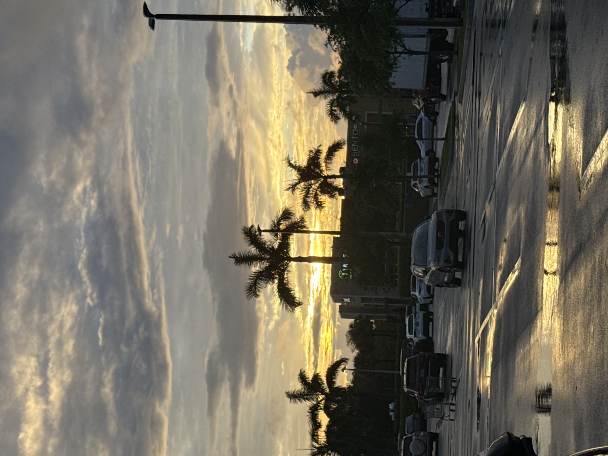 The image depicts a street scene in Dania Beach, Florida, at sunset. The sky is filled with dramatic clouds illuminated by golden sunlight. Several palm trees are silhouetted against the bright sky. A row of parked cars lines the right side of the image. The street is wet, reflecting the colors of the sunset. A street light pole is visible in the upper left corner. A building with a sign "BENTO" can be seen in the background. The scene appears to be a parking lot area.