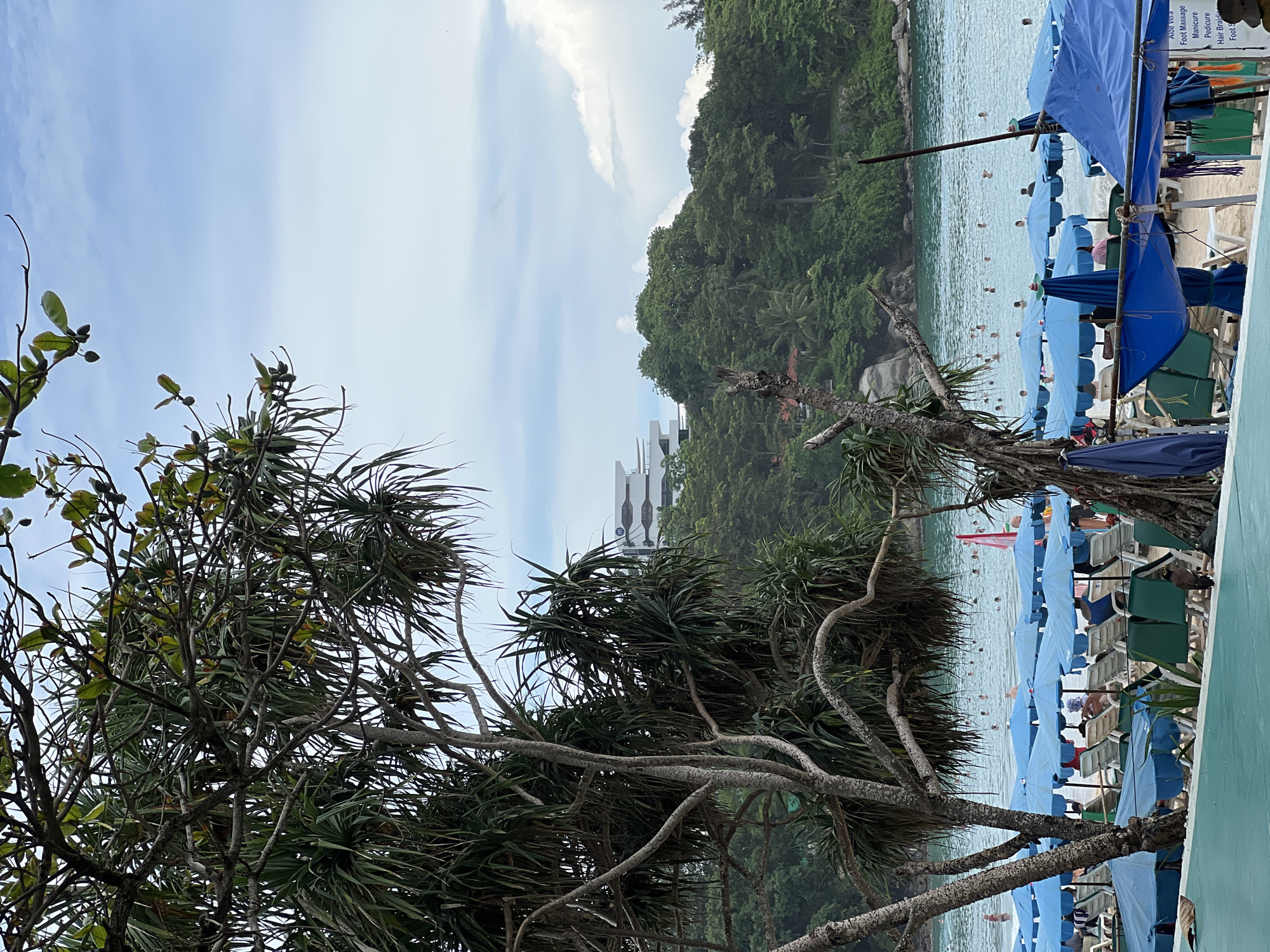 The image shows a crowded beach scene in an unknown city. In the foreground, there are rows of blue beach umbrellas and lounge chairs. A large tree with spiky leaves partially obscures the view. In the background, the ocean is filled with swimmers, and lush green hills rise behind the beach. A modern white building with tiered levels is visible on top of one of the hills. The sky is overcast with some clouds. The overall atmosphere is one of a busy tourist destination.