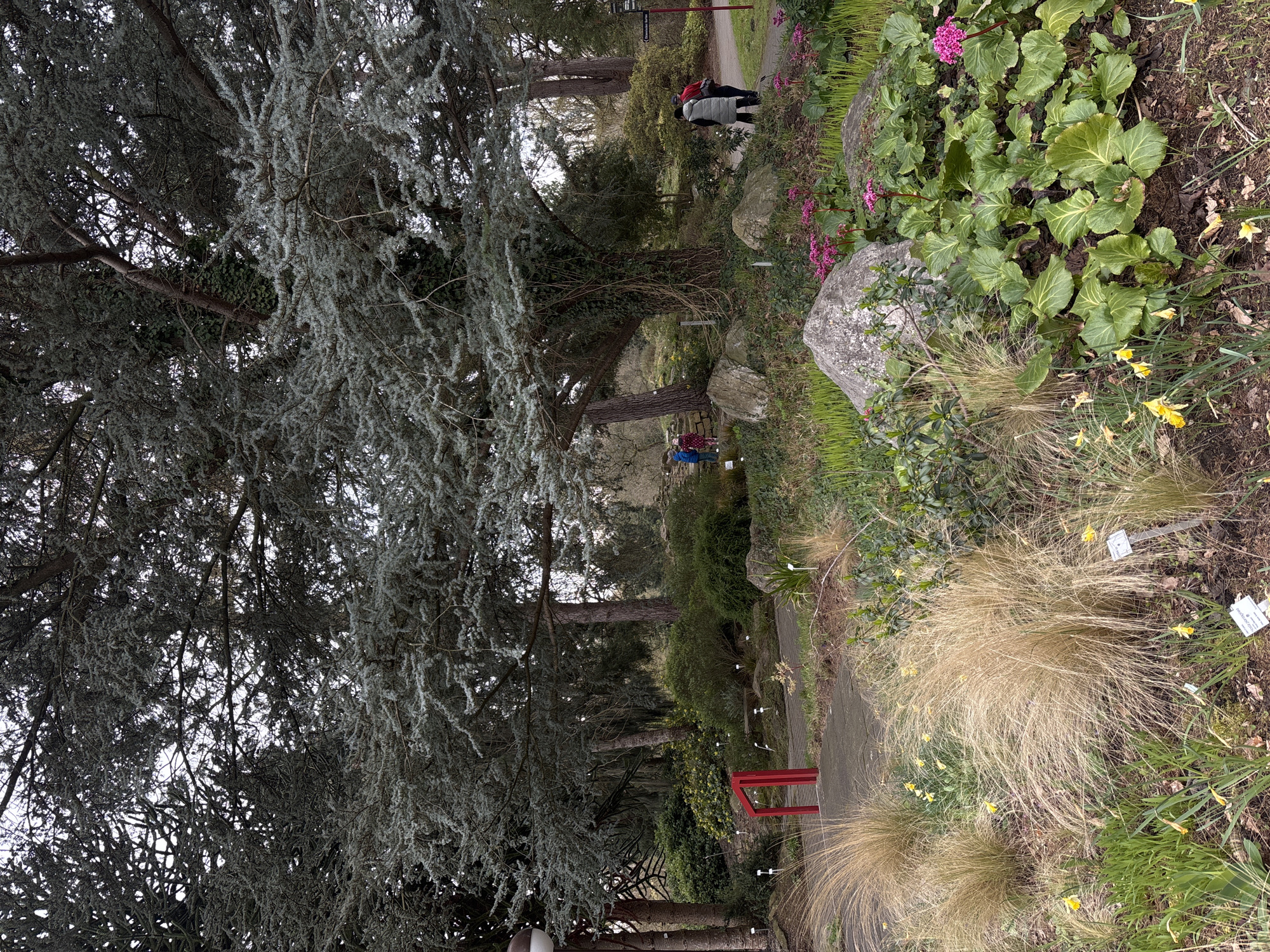 The image shows a path in a garden in Unknown, Unknown. The path is lined with trees, plants, and rocks. There are people walking on the path. A red bench is visible. The lighting suggests an overcast day.