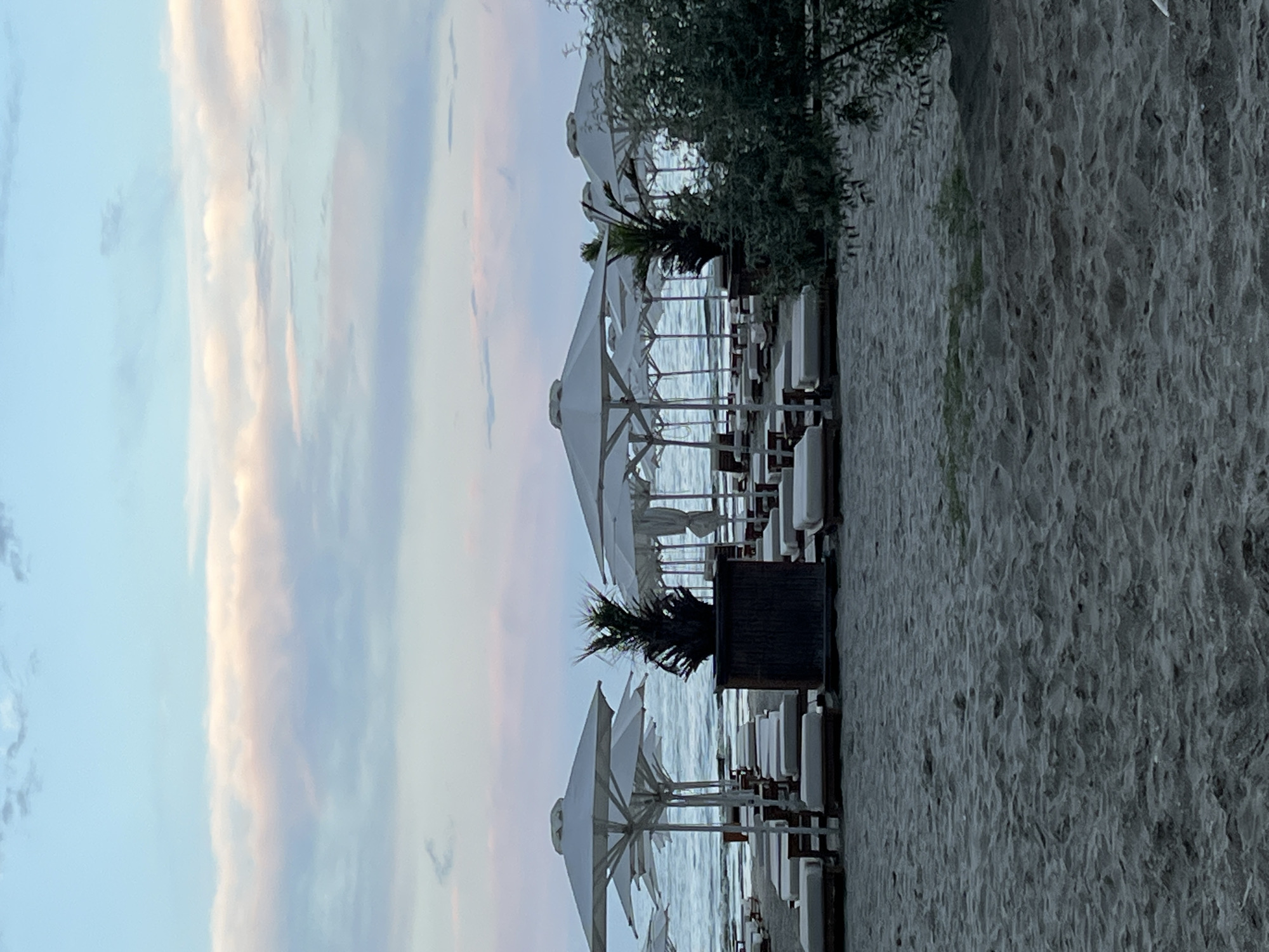 This image depicts a beachside scene in Năvodari, Romania, likely during a calm evening as indicated by the soft, pastel colors of the sky, suggesting either sunrise or sunset. The beach is lined with rows of white umbrellas and lounge chairs, indicating a resort or restaurant area. A dense shrubbery is visible behind the umbrellas, adding a touch of natural greenery to the scene. The sand appears finely textured. The water of the sea is visible in the background, appearing calm and reflecting the soft sky. The overall mood of the image is peaceful and serene, inviting relaxation. There is no visible text in the image.