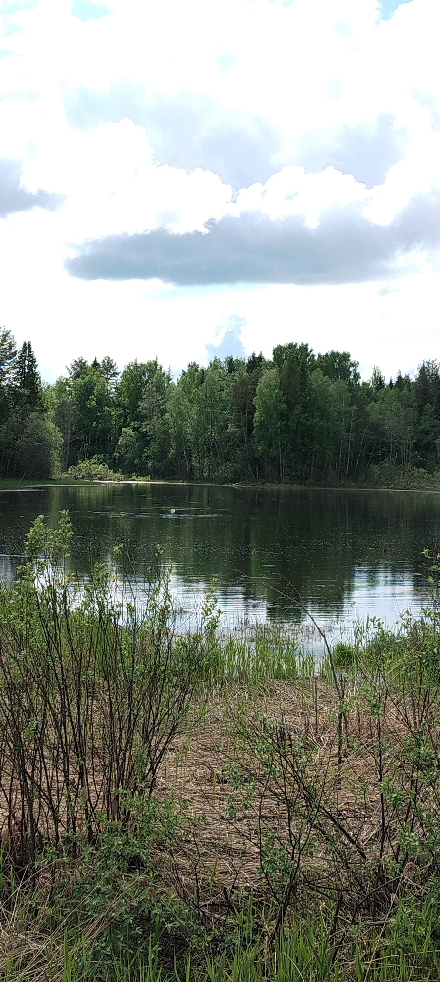 The image depicts a tranquil landscape in Kamennyi Kliuch, Russia. A still, dark lake fills the midground, reflecting the green trees lining the opposite shore and the cloudy sky above. In the foreground, wild grasses and shrubs partially obscure the view of the water. There is a small, white object in the center of the lake. The overall scene conveys a sense of serenity and natural beauty.