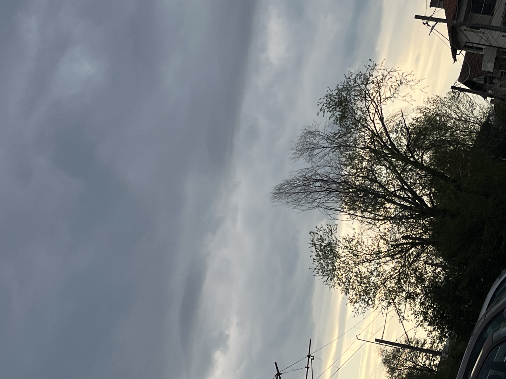 The image presents an upward-angled view of a cloudy sky, dominating the upper and left portions of the frame. The sky transitions from a uniform dark grey on the left to lighter, almost white and yellowish tones on the right, indicating a sun obscured by clouds.
Silhouetted trees with both bare and budding branches are prominent on the right side, their intricate patterns stark against the brighter sky. Sunlight filters through the clouds, creating a subtle halo effect around some of the tree foliage.
In the upper right corner, parts of a building with a sloped, tiled roof are visible, also silhouetted. Below this, utility poles with crisscrossing wires further suggest an urban or suburban setting. A portion of a car, specifically its roofline and a window, can be seen in the bottom right corner.
The lighting suggests late afternoon or early evening due to the low-angle, diffused light and the silhouetted elements. The weather appears overcast and cloudy. No people or discernible activities are taking place, and there is no visible text. The scene offers a glimpse of a typical urban landscape under a moody sky, consistent with the provided location context of Sofia, Bulgaria, though no specific landmarks are identifiable.