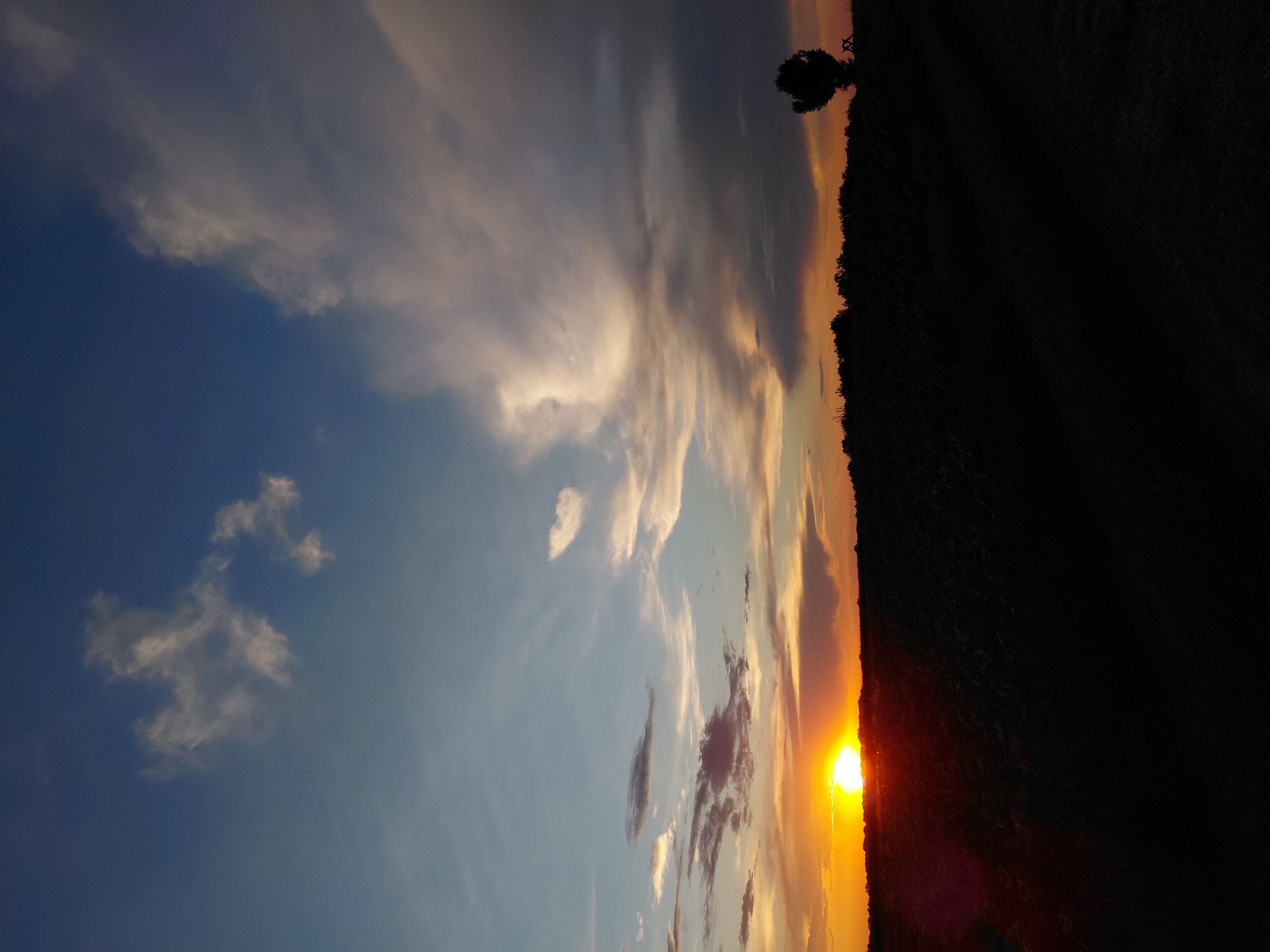 A silhouette of a tree stands to the right of a dark, silhouetted landscape under a twilight sky in an unknown location. The sky transitions from a bright orange and yellow near the horizon to a deep blue overhead. Wispy clouds are scattered across the sky, some catching the last rays of the sun. A low-lying dark line of trees or hills separates the sky from the foreground, which is entirely in shadow, obscuring any details of the terrain or any potential structures. The overall impression is one of a peaceful, natural scene at dusk.