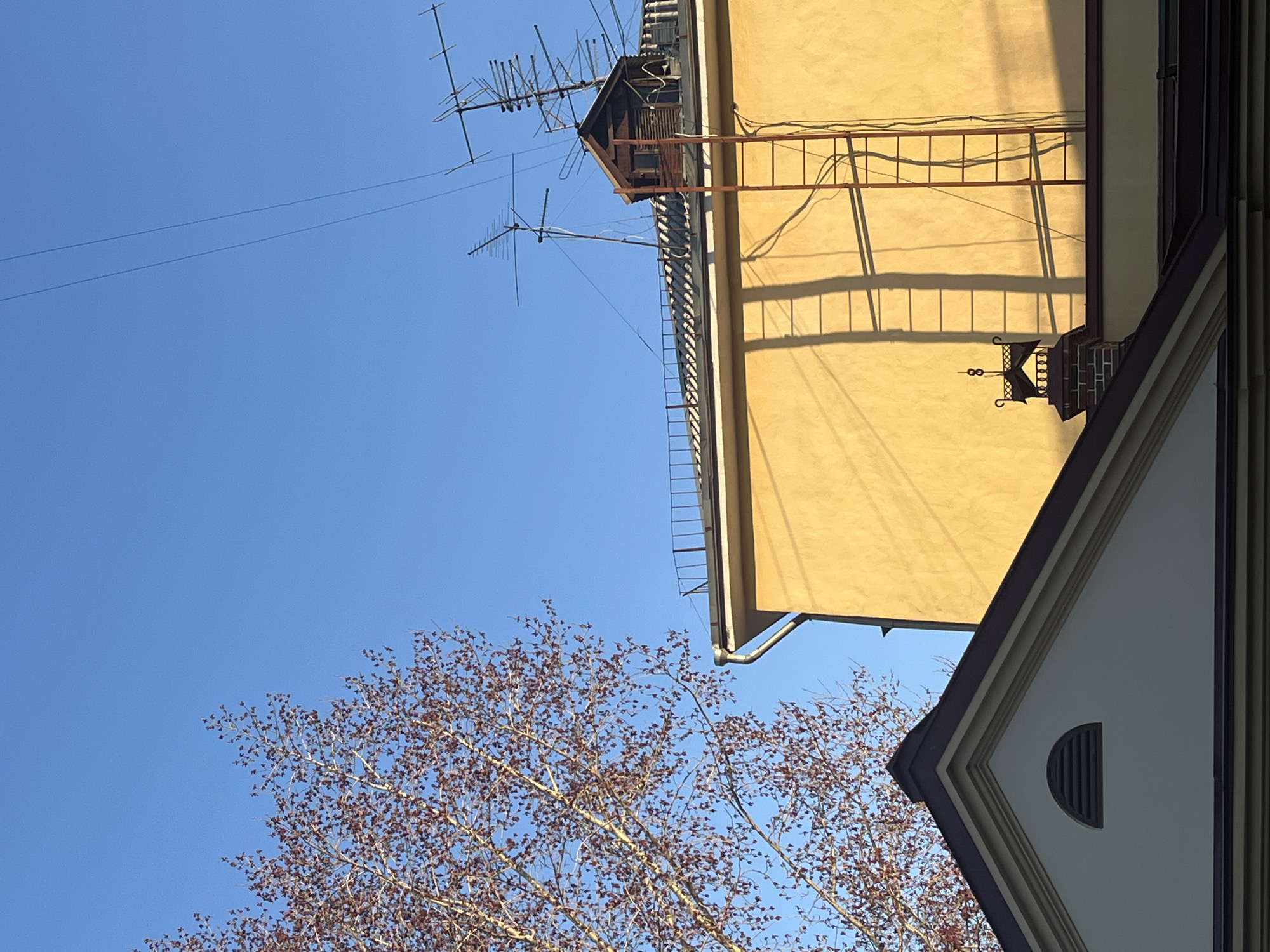 The image displays an urban scene under a clear blue sky, oriented such that the horizon appears vertical. The dominant feature is a vast expanse of clear, bright blue sky, occupying the left and upper portions of the frame.
On the right side, a tall, yellow-ochre building with a textured facade fills much of the space. Its roofline runs along the top edge, featuring several elaborate, older-style television or radio antennas. A small, wooden structure with a pitched roof, possibly an attic room or a utility shed, is also visible on the roof. Extending down the side of the yellow building is a multi-rung metal ladder, likely a fire escape, which casts strong, distinct shadows onto the wall. Below the roofline, a decorative horizontal metal grid or railing is present, also producing clear shadows. Further down the wall, a decorative black iron bracket is attached.
In the bottom right corner, the sharp, dark-trimmed gable roof of a lighter-colored building is visible. A semi-circular louvered vent is set into this gable.
Towards the bottom left and extending towards the center, the intricate network of bare branches of a deciduous tree fills part of the frame. The branches are covered in numerous tiny, reddish-brown buds or very early leaves, suggesting a season of late winter or early spring.
The strong, elongated shadows cast by the architectural elements indicate bright, direct sunlight, likely from a low angle, consistent with either early morning or late afternoon. There are no people visible, and no specific activities are taking place. No text is visible in the image. The scene offers a calm, observational view of urban architecture and nature.