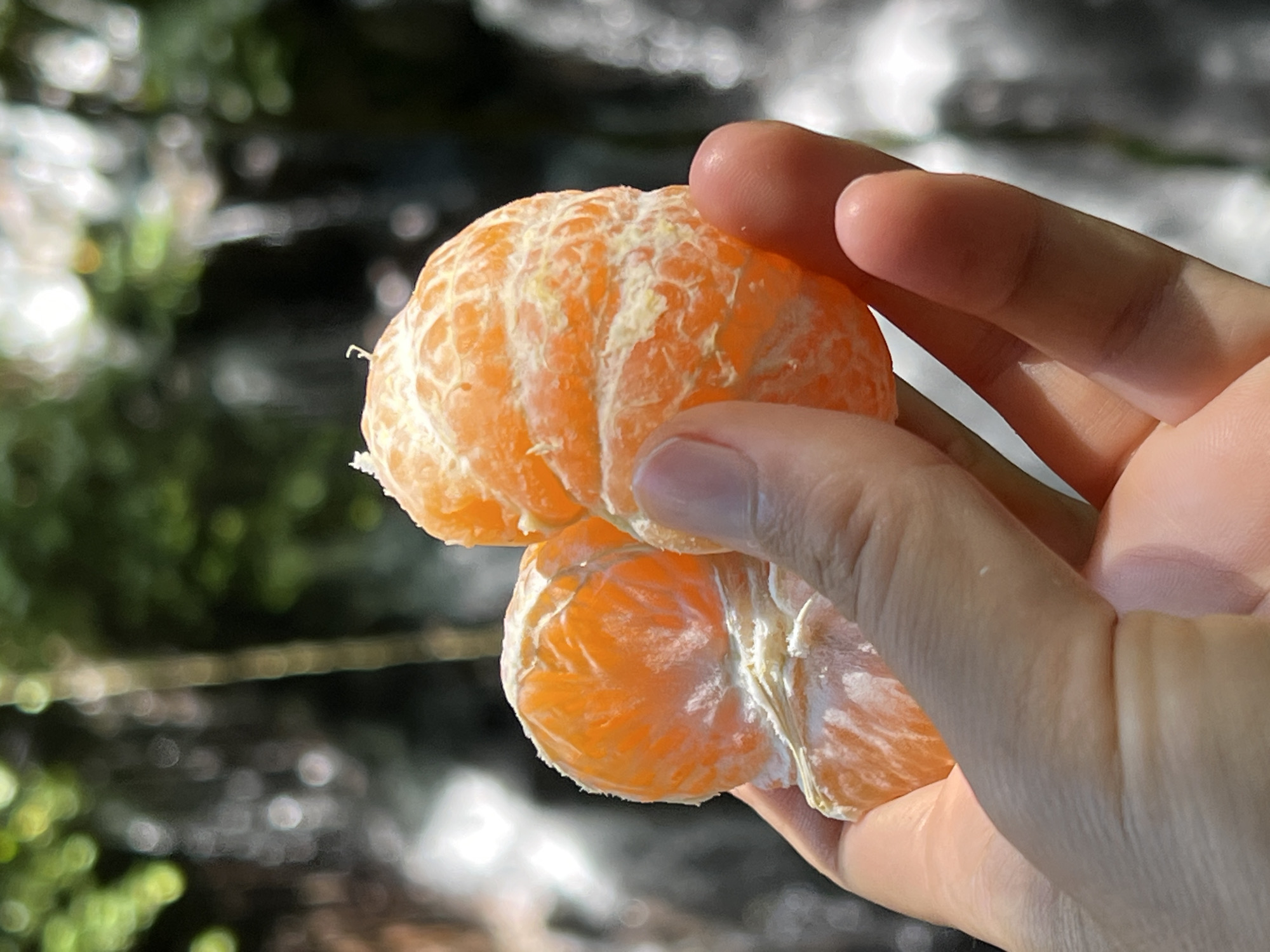 A close-up, eye-level shot captures a hand holding a peeled mandarin orange or tangerine against a blurred natural background. The hand, with light skin tone and neat fingernails, is positioned in the upper right, holding two segments of the bright orange fruit. Some white pith is visible on the fruit's surface. The background is rendered in soft focus, showing indistinct shapes of green foliage and bright, shimmering patches that suggest sunlit water, possibly a waterfall or river, consistent with an outdoor setting in Gianyar, Indonesia. The lighting is bright, indicating daytime under sunny or clear conditions. There is no visible text or discernible emotion. The primary activity depicted is the holding and implied enjoyment of the fruit in a natural environment.