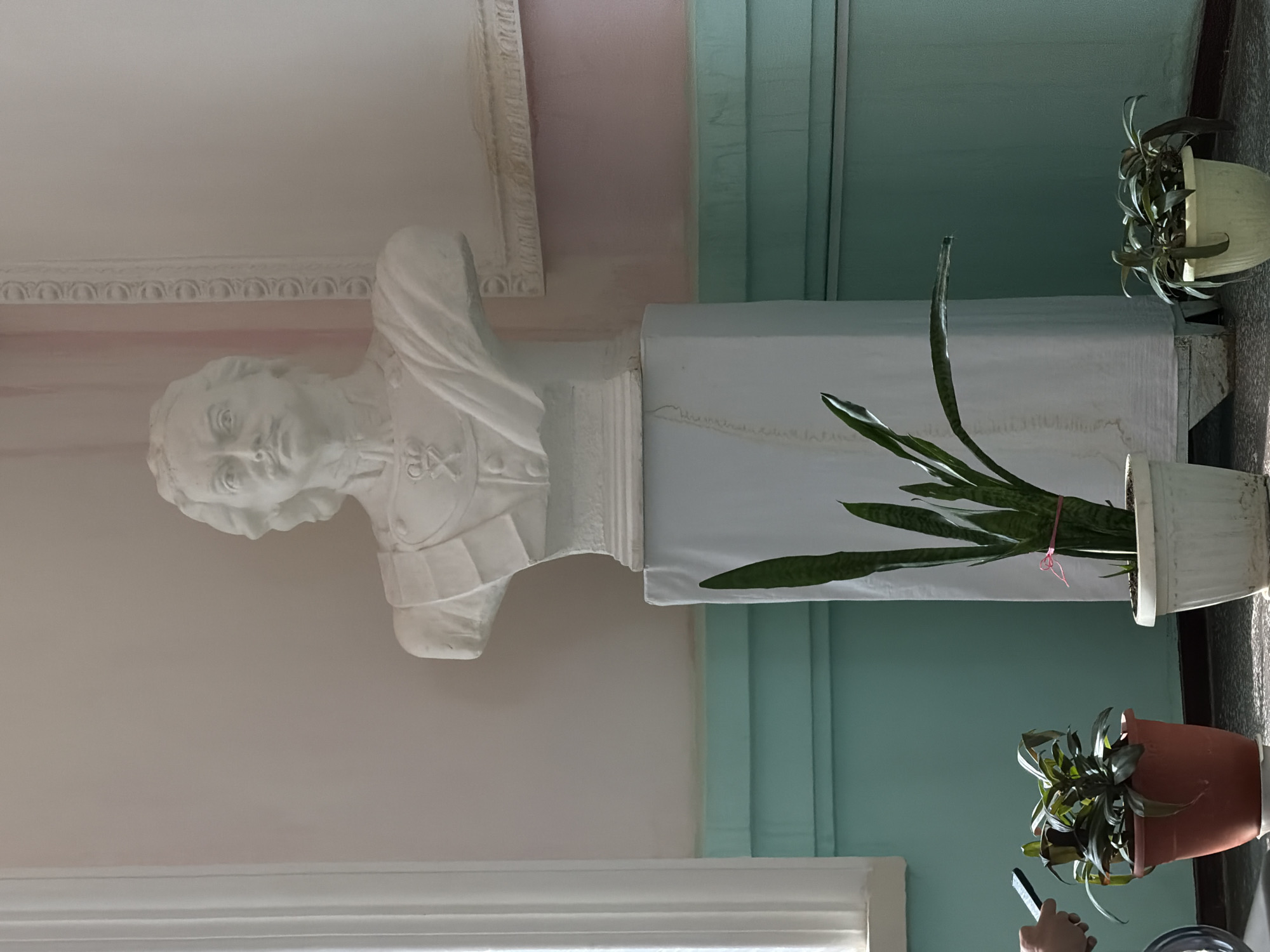 The image shows an indoor scene in what appears to be a building with architectural details such as ornate cornices and moldings. A plaster bust of a man in period clothing is mounted on a white pedestal. Two potted plants sit on the floor near a light-blue wall with vertical panels. A hand holding a phone is barely visible in the lower left corner, possibly taking a photo. The location is unknown, Petrov Val, Russia is not determinable from the image.