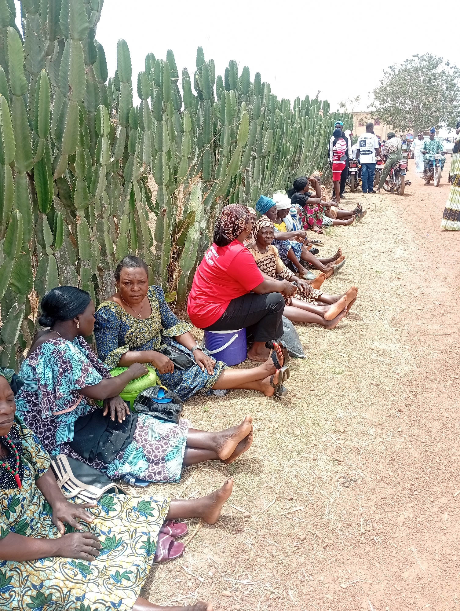 This outdoor image, taken in Ladura Foron, Nigeria, depicts a gathering of people, primarily women, seated along a dry, dusty path. A striking feature on the left is a dense, tall hedge of columnar cactus plants (likely *Euphorbia* species), forming a continuous green barrier under a bright, clear sky.
The ground is reddish-brown earth with sparse dry grass, indicating a warm and dry environment. Most women are sitting directly on the ground, many barefoot, with their legs extended. They are dressed in colorful, patterned traditional African attire, featuring various shades of blue, green, yellow, and red. In the foreground, a woman in a blue and green patterned dress sits cross-legged, while another in a blue and gold patterned dress looks towards the camera with a neutral expression. Further down the line, a woman in a red t-shirt and black trousers is seated on a blue plastic bucket, appearing to interact with those around her.
In the mid-ground and background, on the right side of the path, several people, including men, are standing. Multiple motorbikes are present, some parked and others with riders, suggesting a busy thoroughfare or assembly point. One man in the background wears a white t-shirt with partially visible text, which appears to read "CULTURE U.S.A" and possibly "Nigerian R..." below it, though it is difficult to discern clearly.
The scene conveys an impression of a public gathering or a period of waiting, possibly an event or a community meeting, taking place under bright daylight conditions.