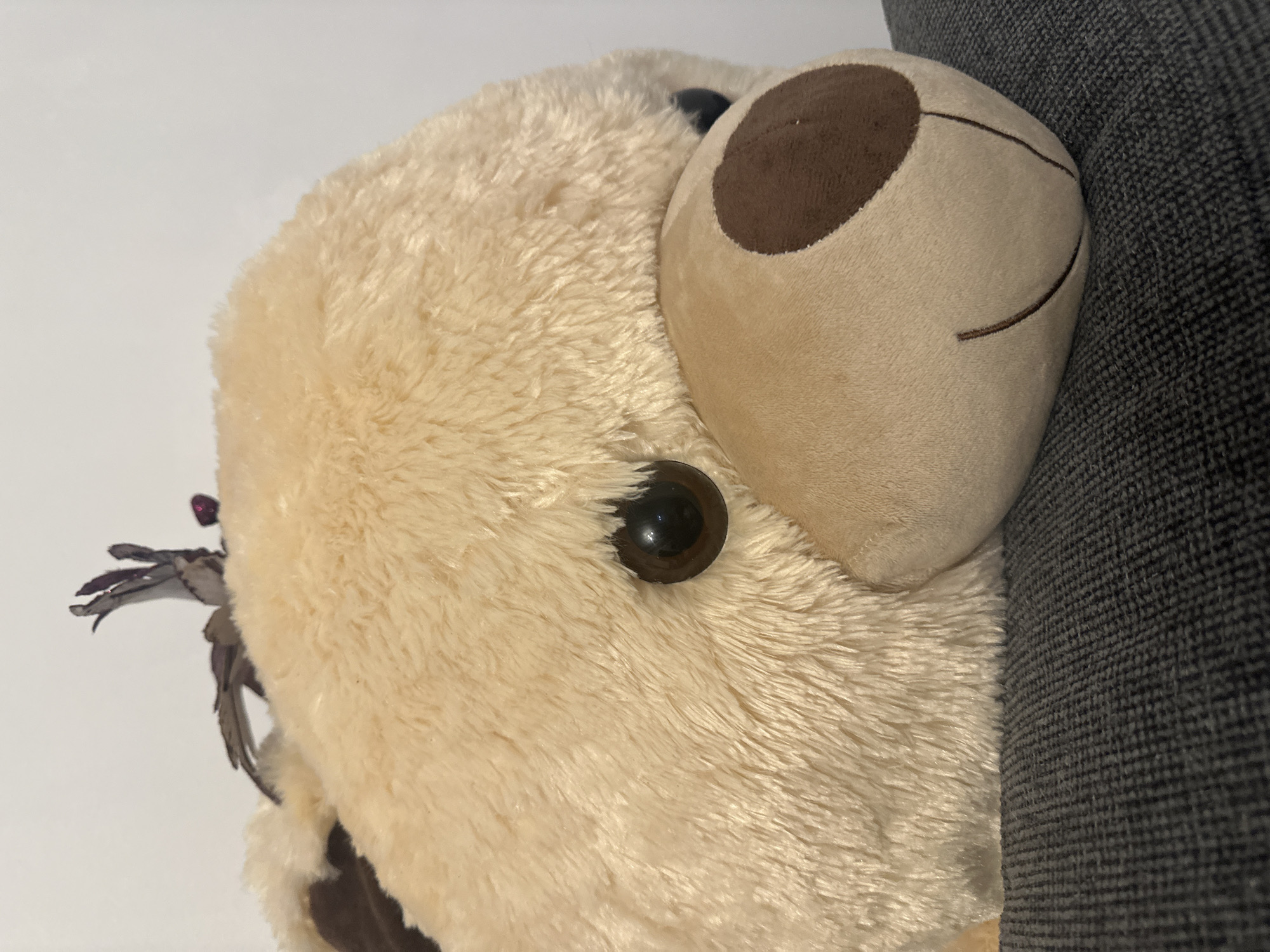 A close-up image depicts the head of a stuffed animal, possibly a bear, resting against a dark grey, textured fabric, likely a couch or chair. The plush toy is primarily light beige with brown accents on the ears and around the eye. The eye is black and glossy. A small decorative floral element is visible near the edge of the toy. The background is a plain white or off-white surface. There is no indication of location in Sofia, Bulgaria.
