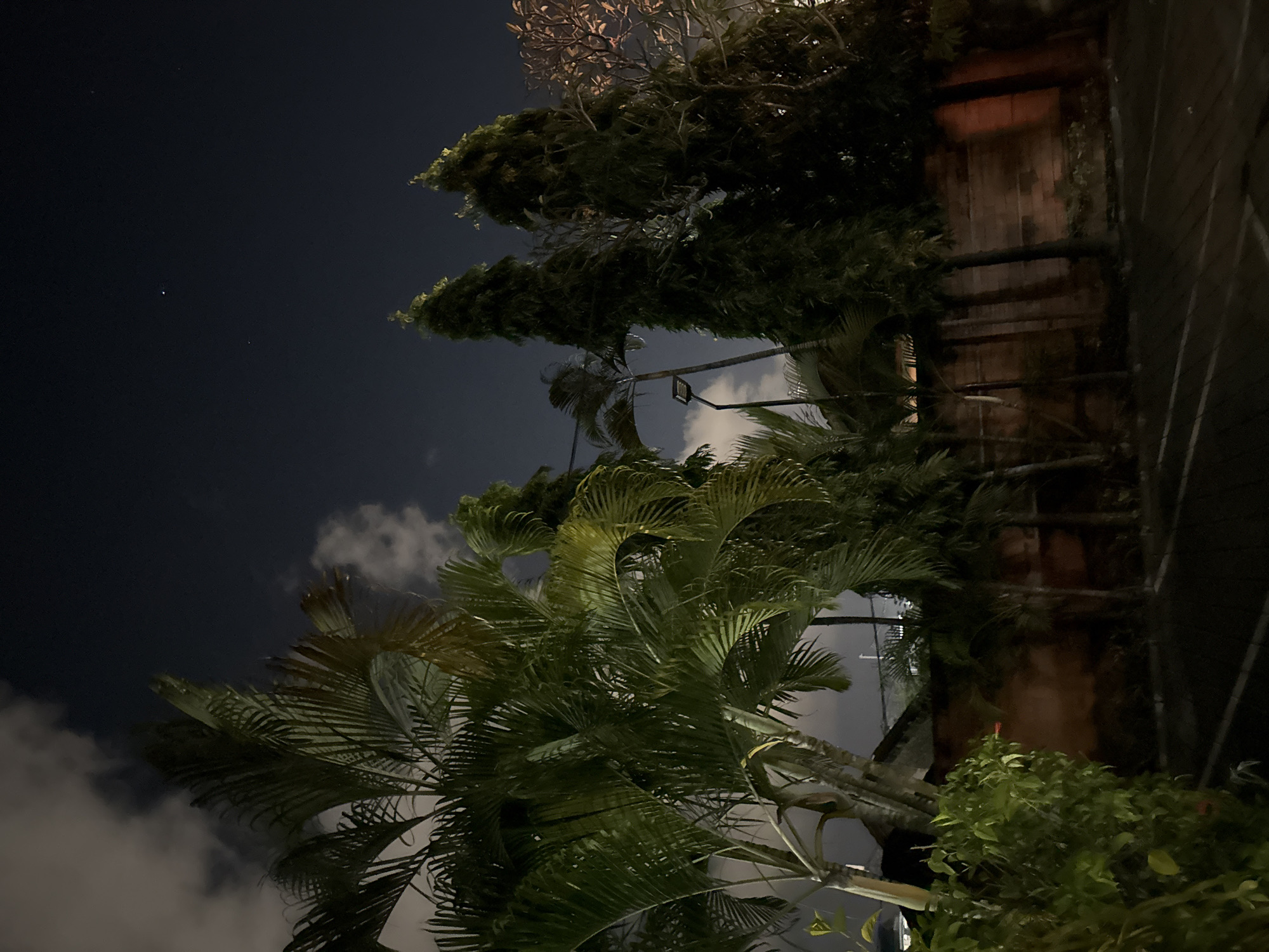 This media file captures a nighttime scene in Denpasar, Indonesia. The image is oriented vertically, showing a dark, clear sky with a few scattered clouds. Some small, faint stars are visible, along with a brighter celestial body, possibly a planet.
The foreground is dominated by lush, green palm fronds, some of which are illuminated by an unseen light source, giving them a yellowish-green hue. These fronds appear to be swaying, suggesting a gentle breeze. Behind the palms, a dense cluster of trees with dark foliage creates a shadowy backdrop. Further in the background, a structure made of weathered wooden planks is visible, illuminated by a warm, orange light emanating from within or behind it. A streetlamp with a rectangular fixture is also present, extending from a dark pole.
The overall mood is tranquil and serene, characteristic of a peaceful night in a tropical location. The presence of palm trees and the warm lighting on the wooden structure suggest a tropical setting, consistent with the provided location context. There is no visible text in the image. The time of day is clearly night, and the weather appears clear with some light cloud cover.
